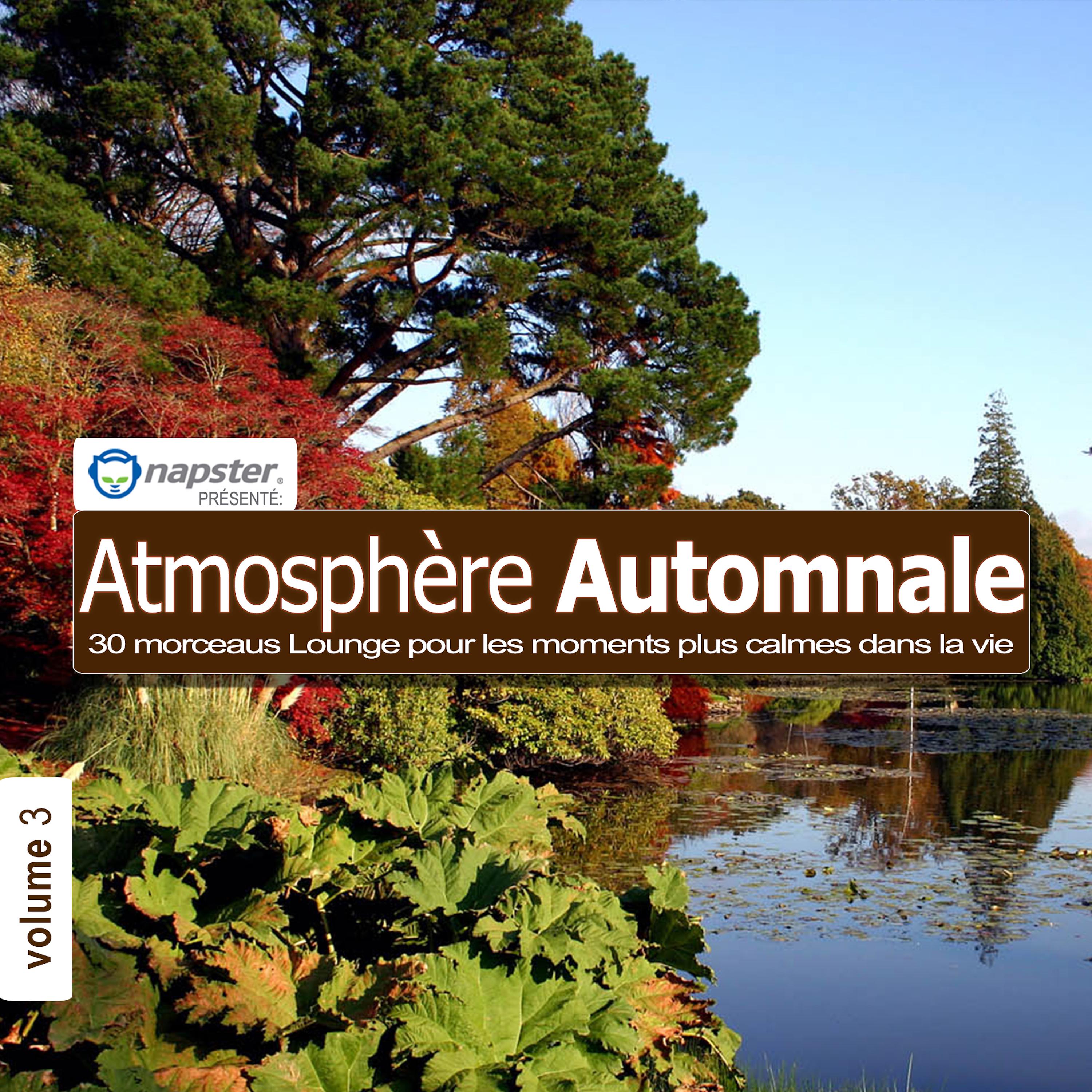 Napster pre s. Atmosphe re Automnale 3  29 morceaus Lounge pour les moments plus calmes dans la vie