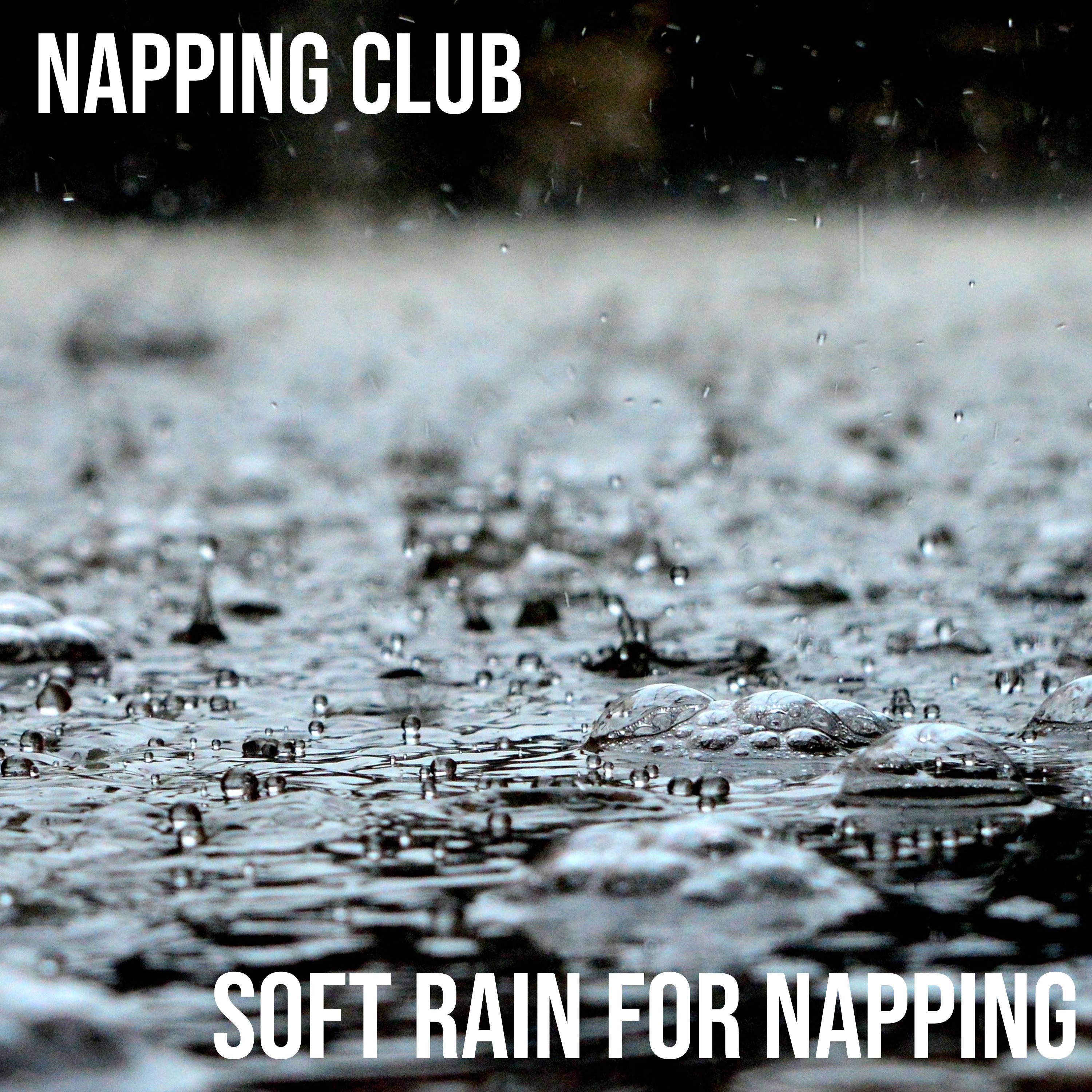 Soft Rain For Napping, PT.06