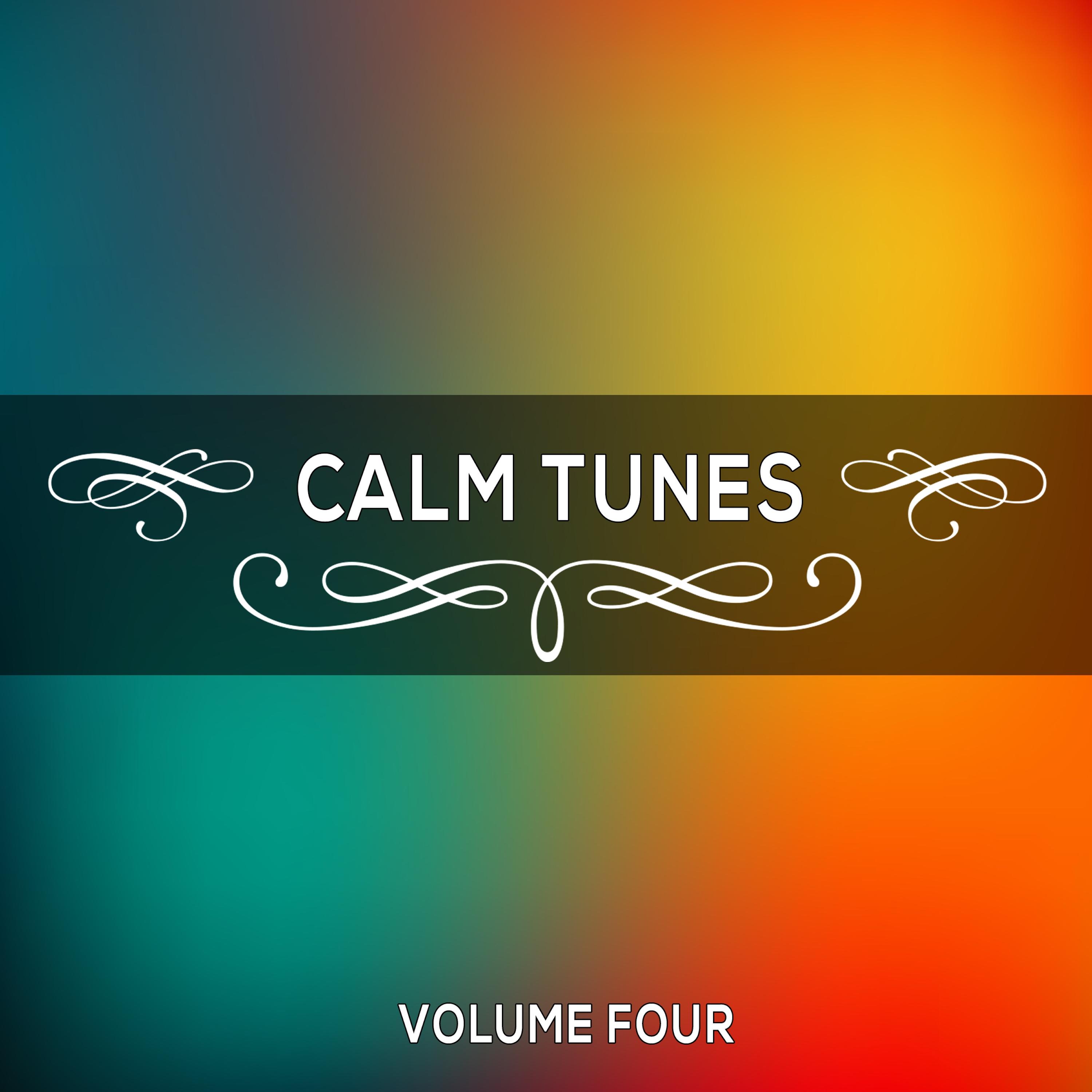 Calm Tunes, Vol. 04