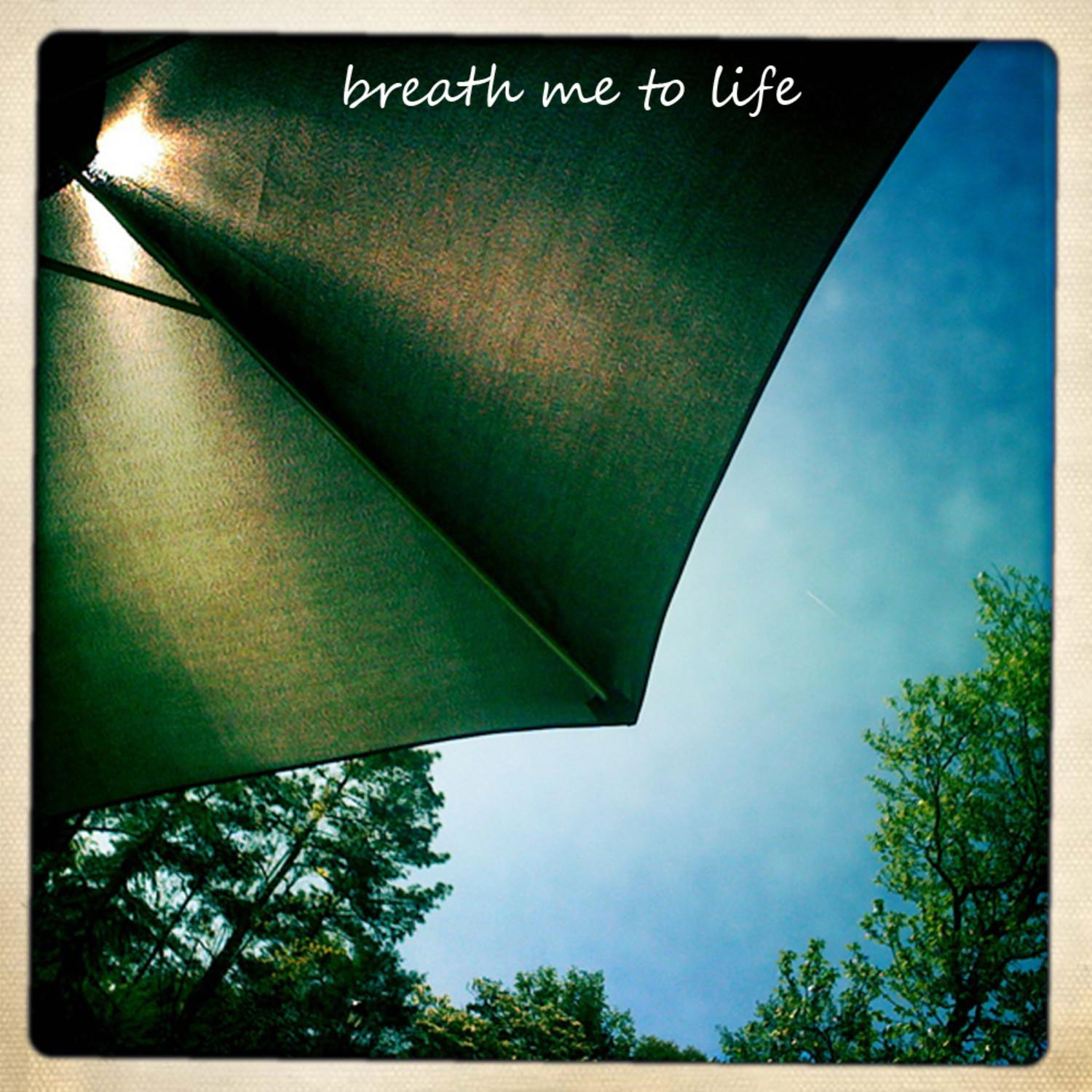 Breathe Me To Life