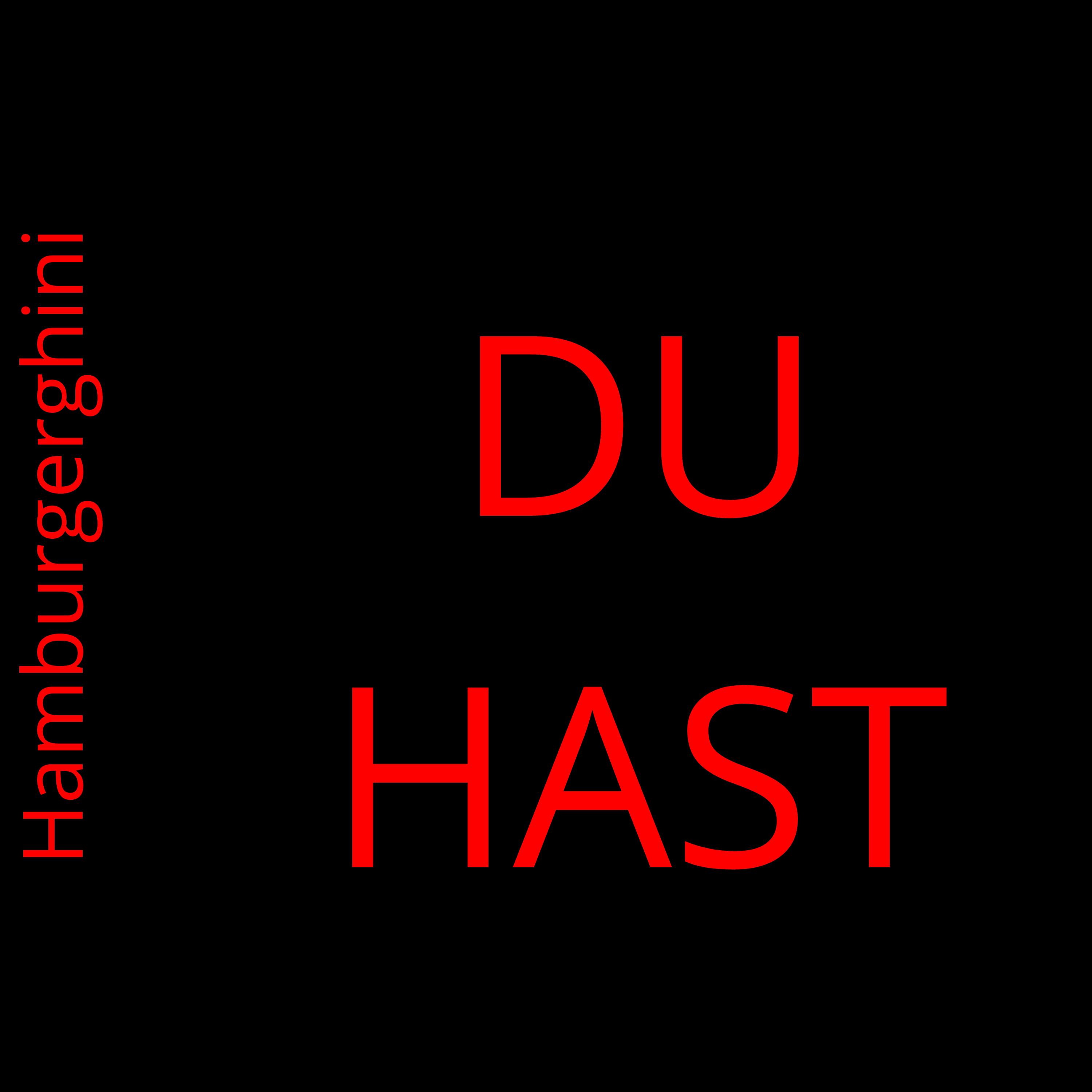 DU HAST