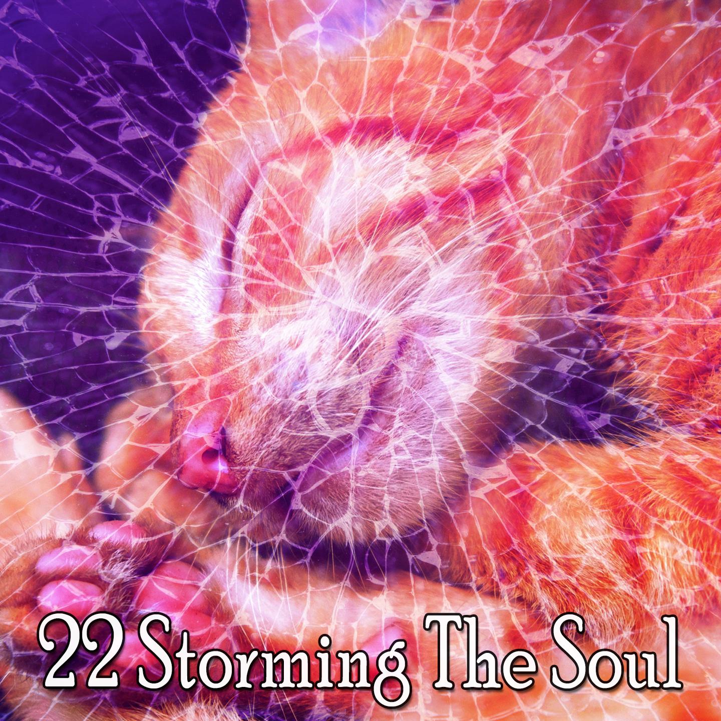 22 Storming the Soul