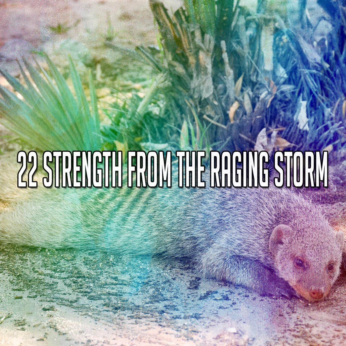 22 Strength from the Raging Storm