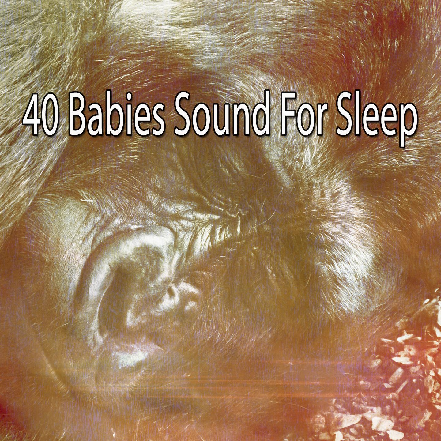 40 Babies Sound for Sleep