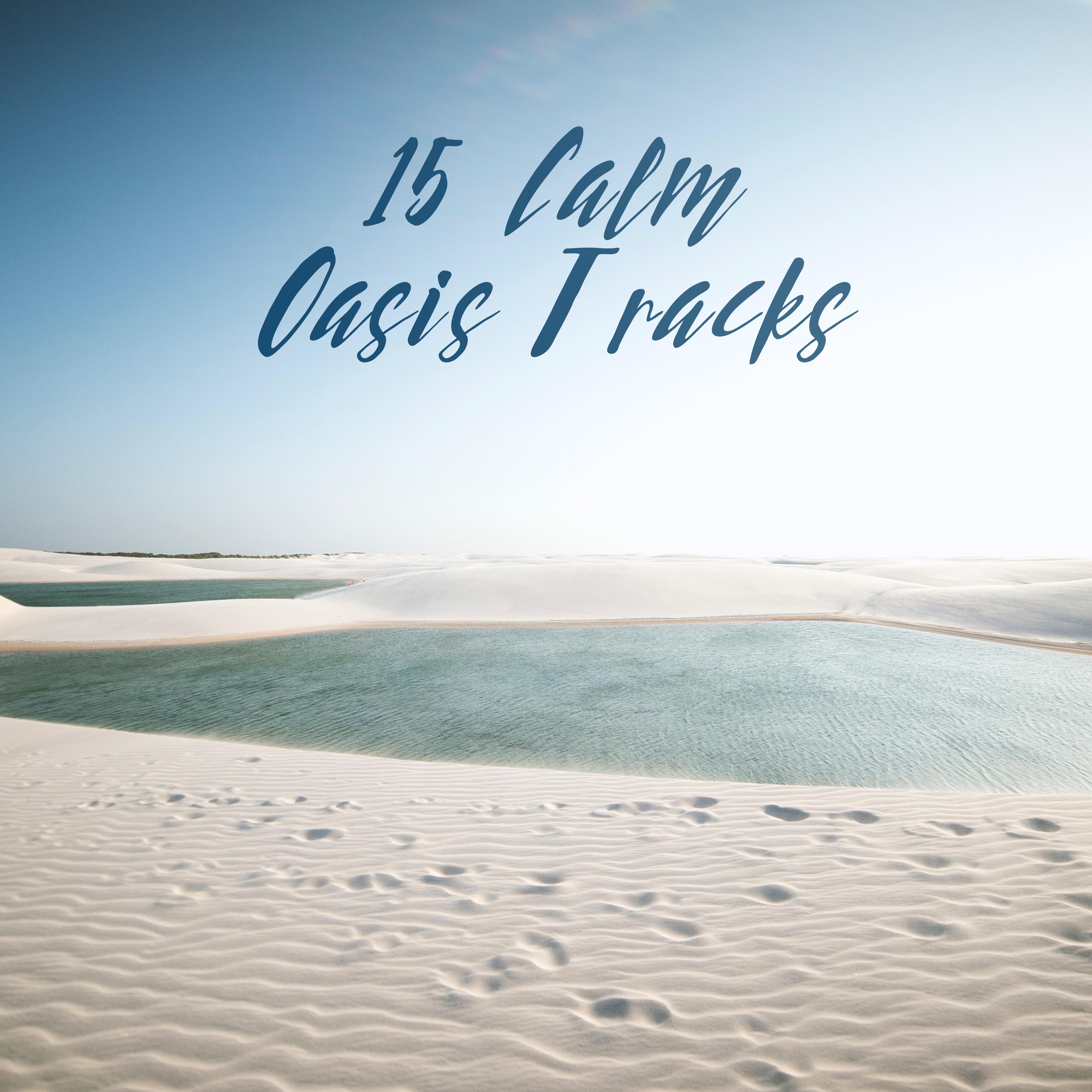 15 Calm Oasis Tracks: Deep Meditation, Pure Relaxation, Calm Down, Inner Harmony, Reduce Stress, Relax Zone, Pure Mind, Zen