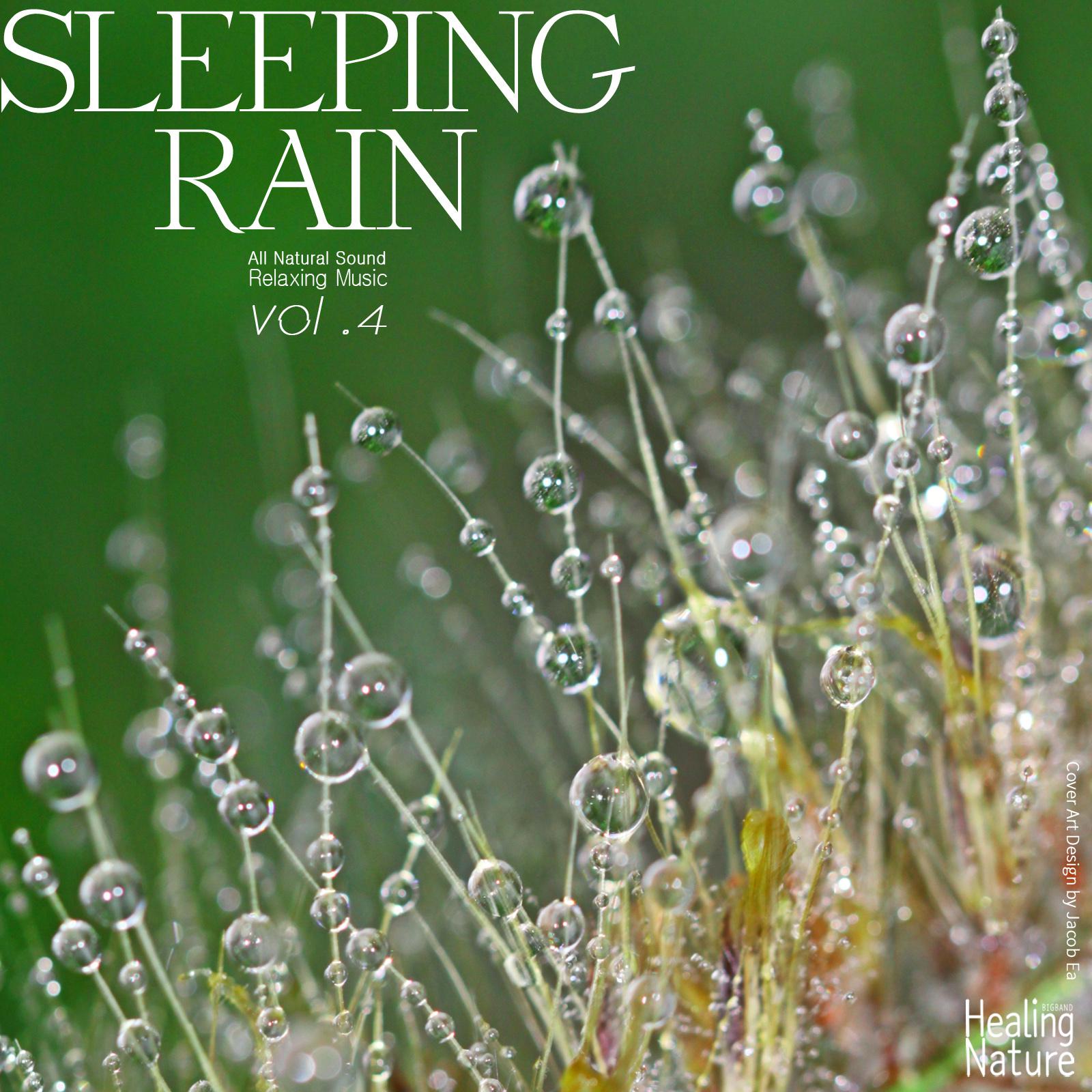 Sleeping Rain, Vol. 4