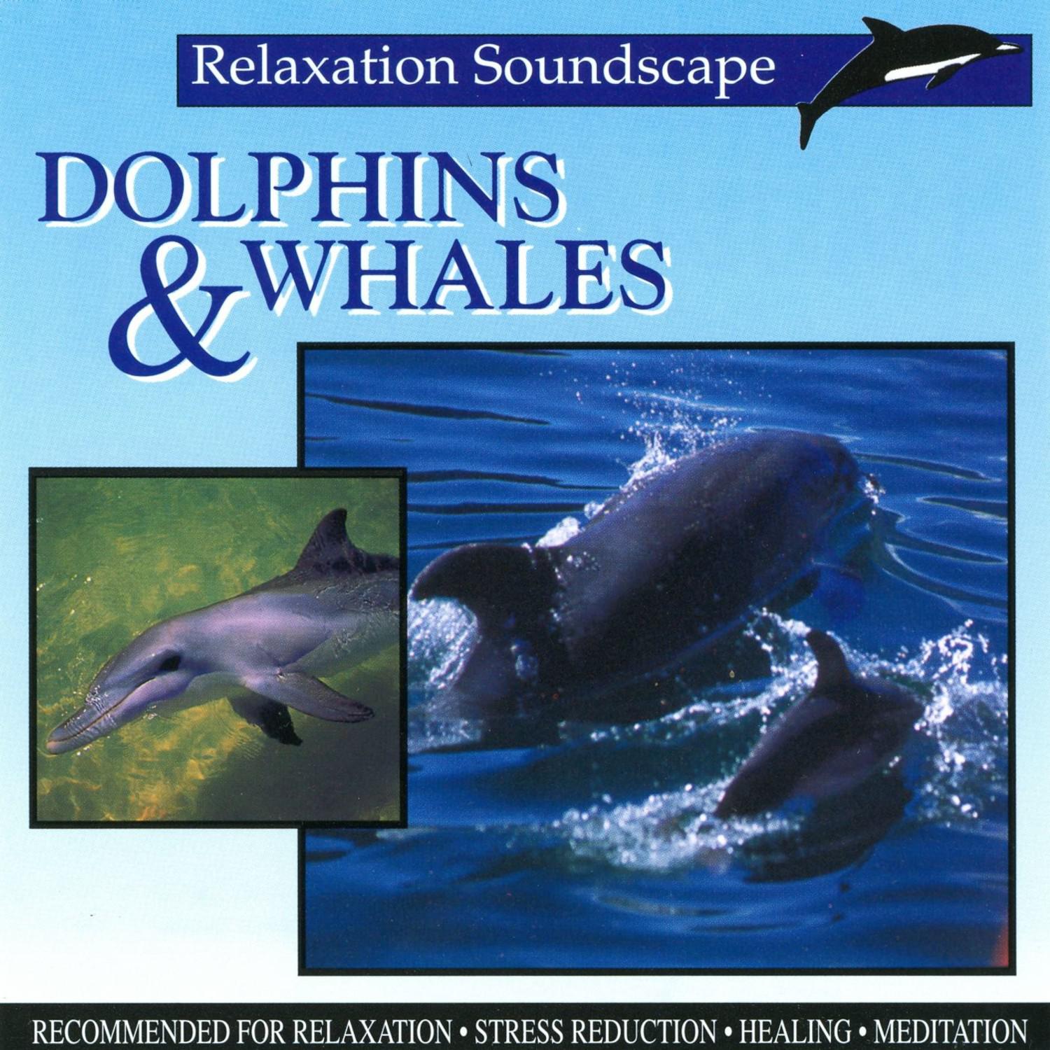 Dolphins & Whales