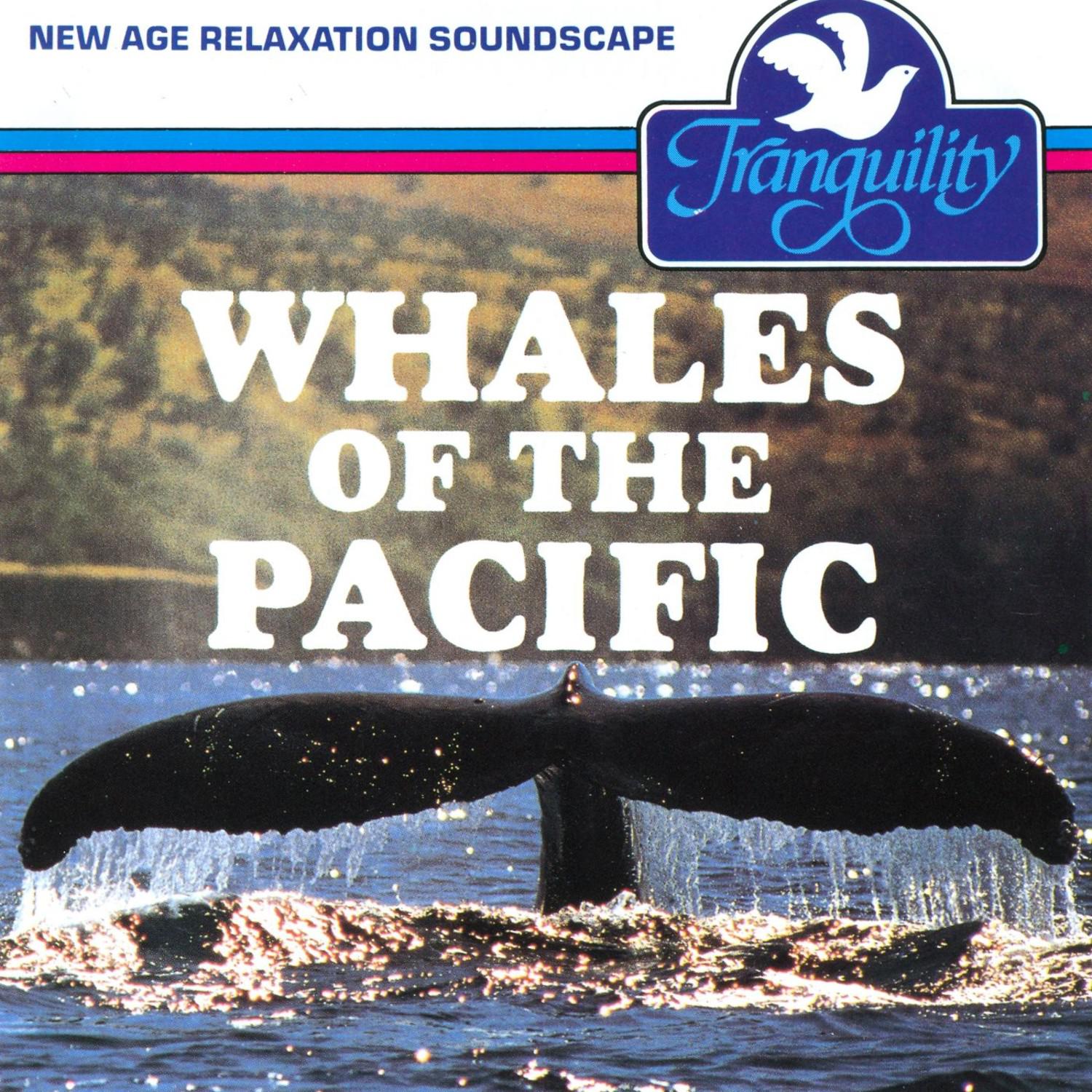 Songs Of The Whale