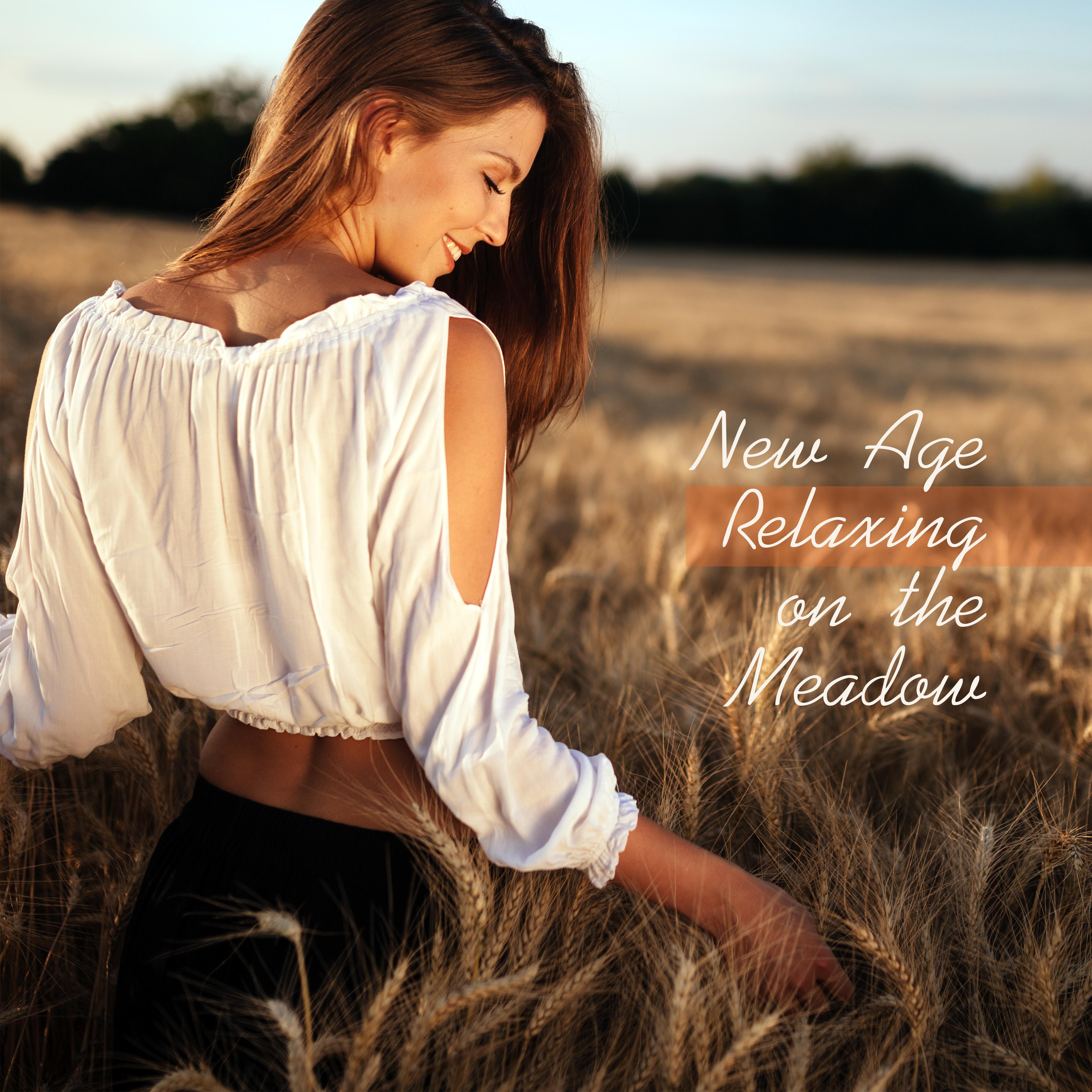 New Age Relaxing on the Meadow: 2019 Nature Sounds with Instrumental Melodies for Total Relaxation, Calming Down, Stress Relief