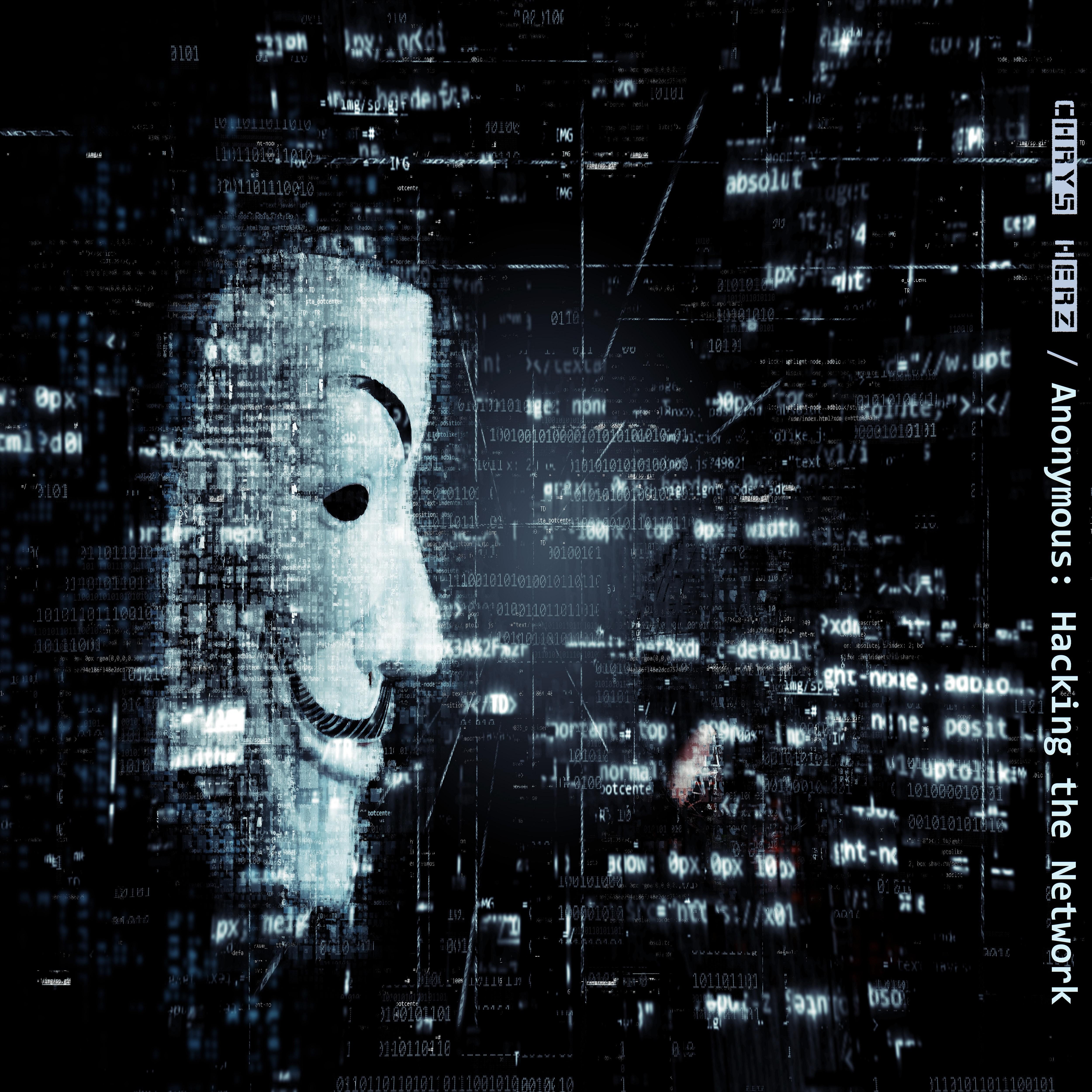 Anonymous (Hacking the Network)