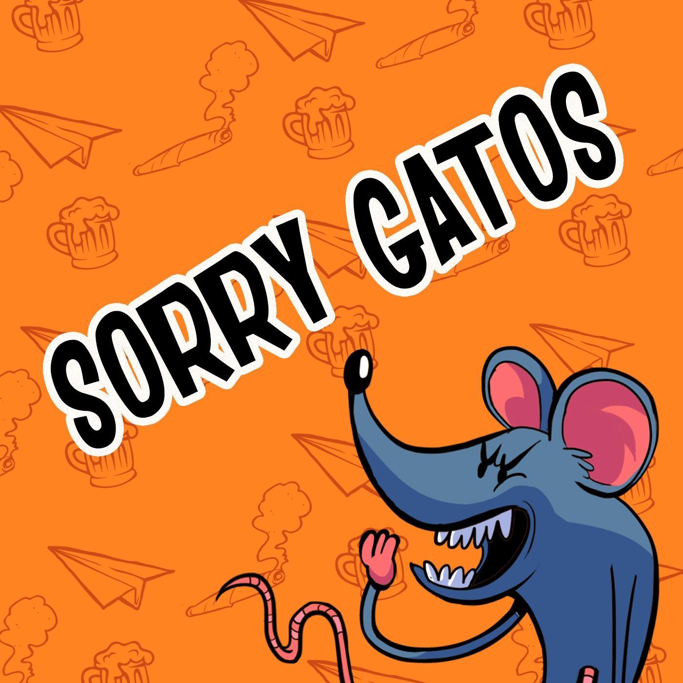 Sorry Gatos