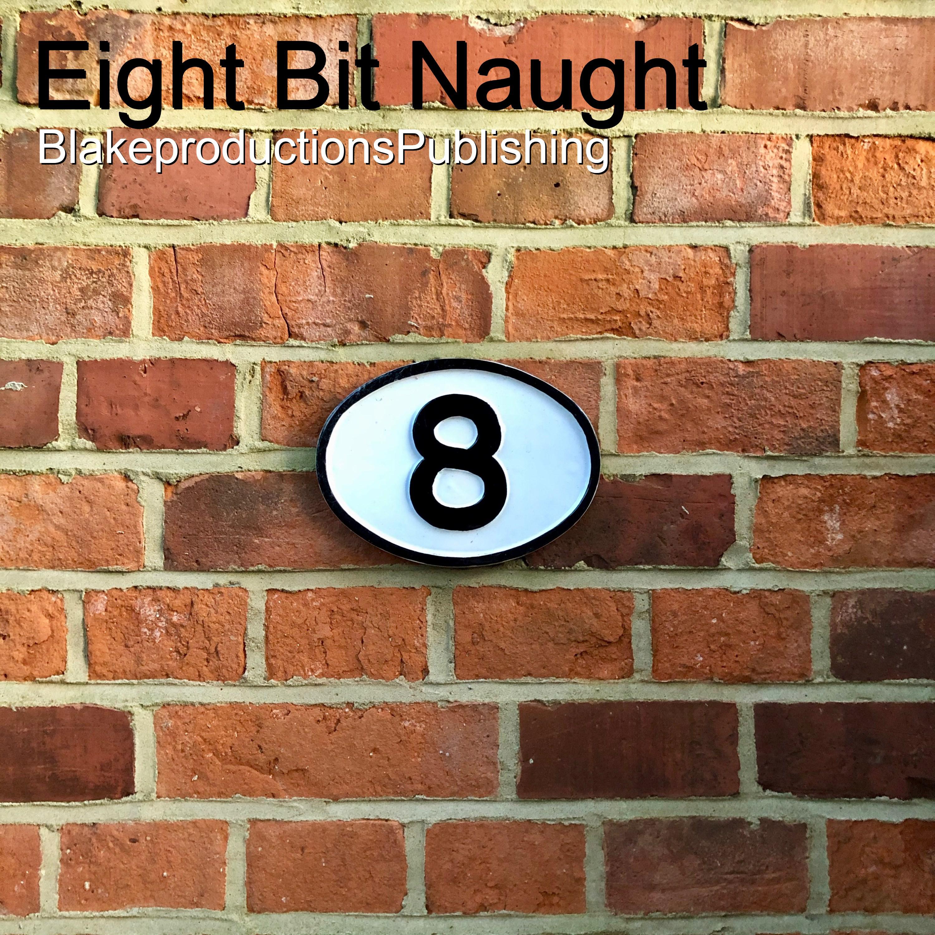 Eight Bit Naught