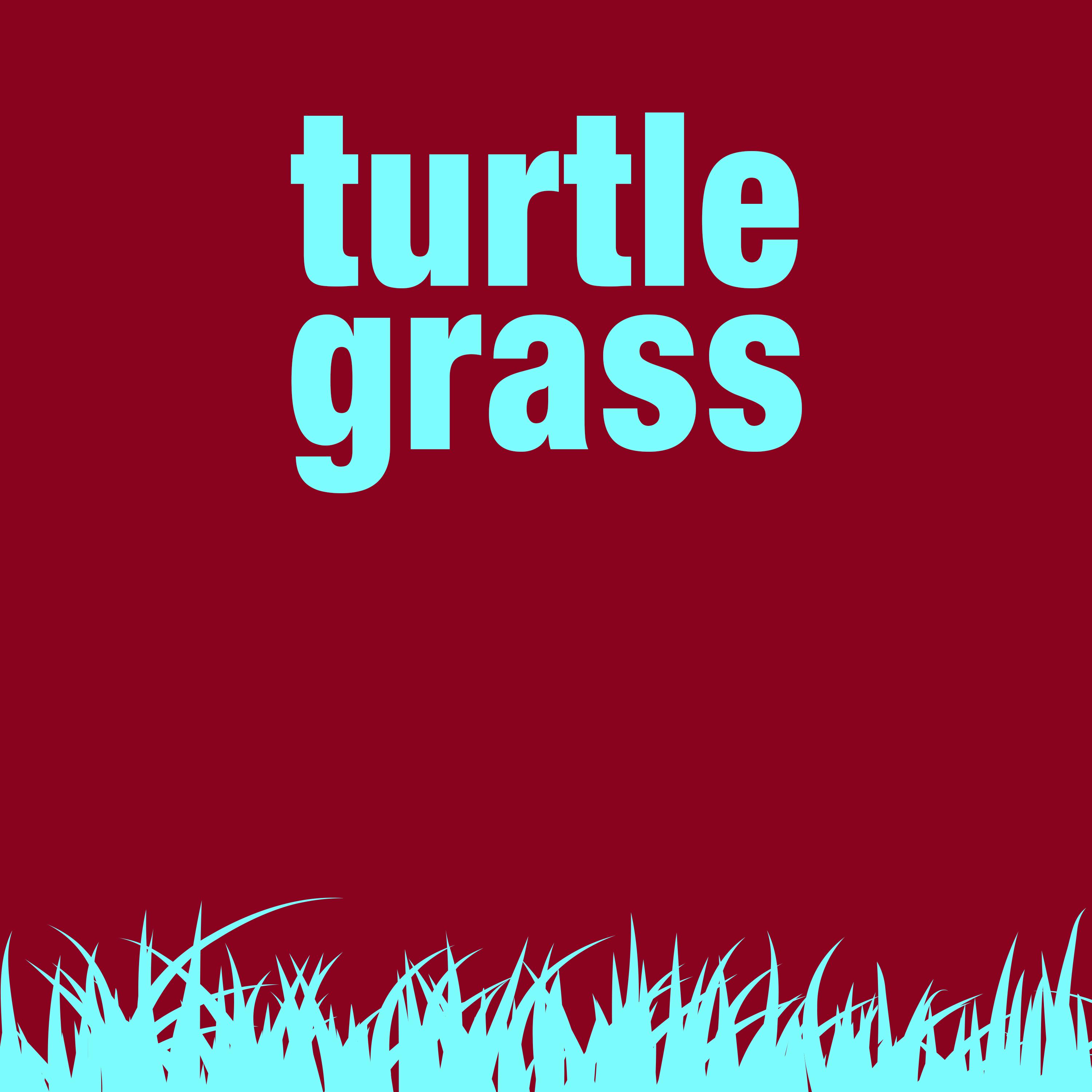 Turtle Grass