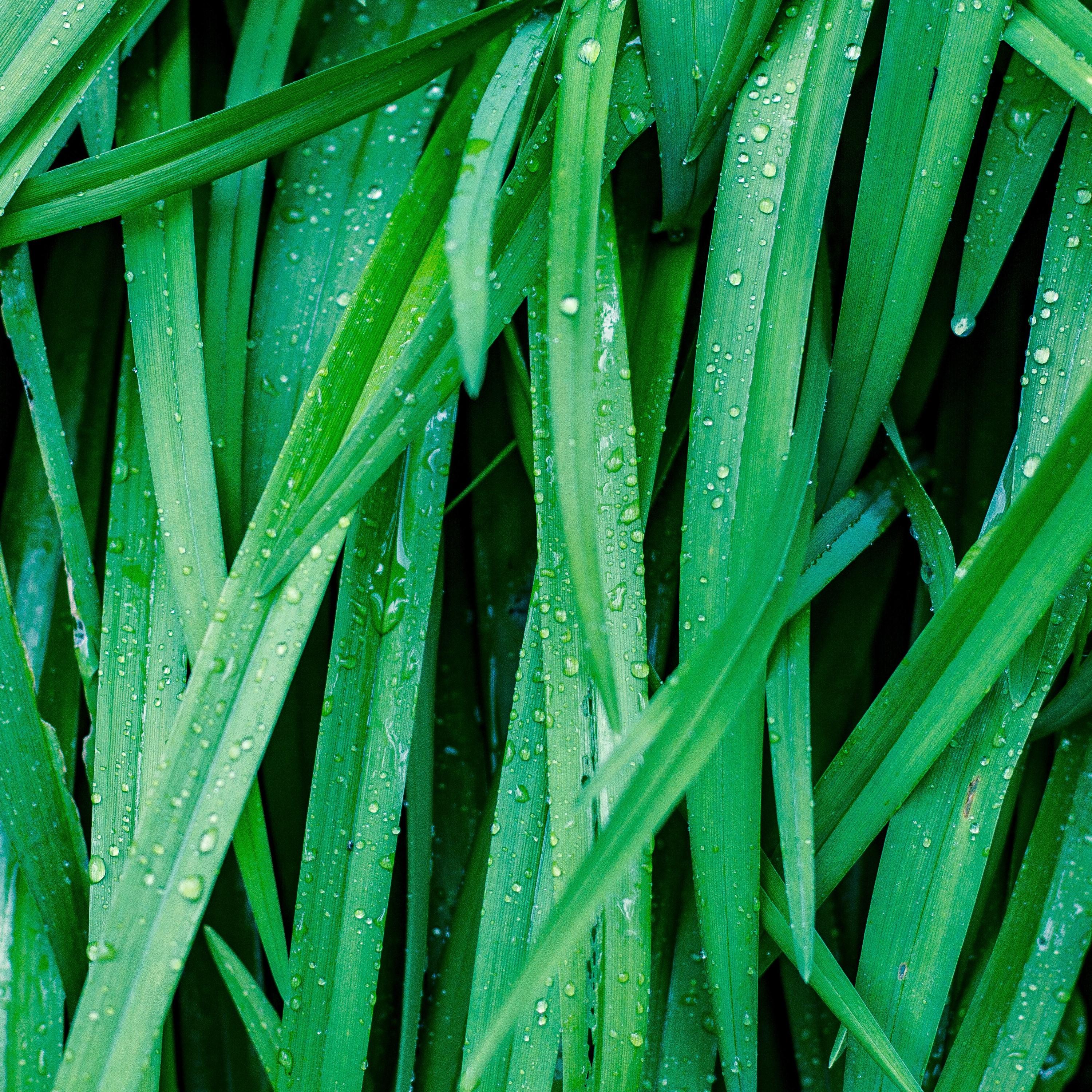 Coleccio n Definitiva De Sonidos De Lluvia De Invierno Para Dormir Y Concentrarse 2019