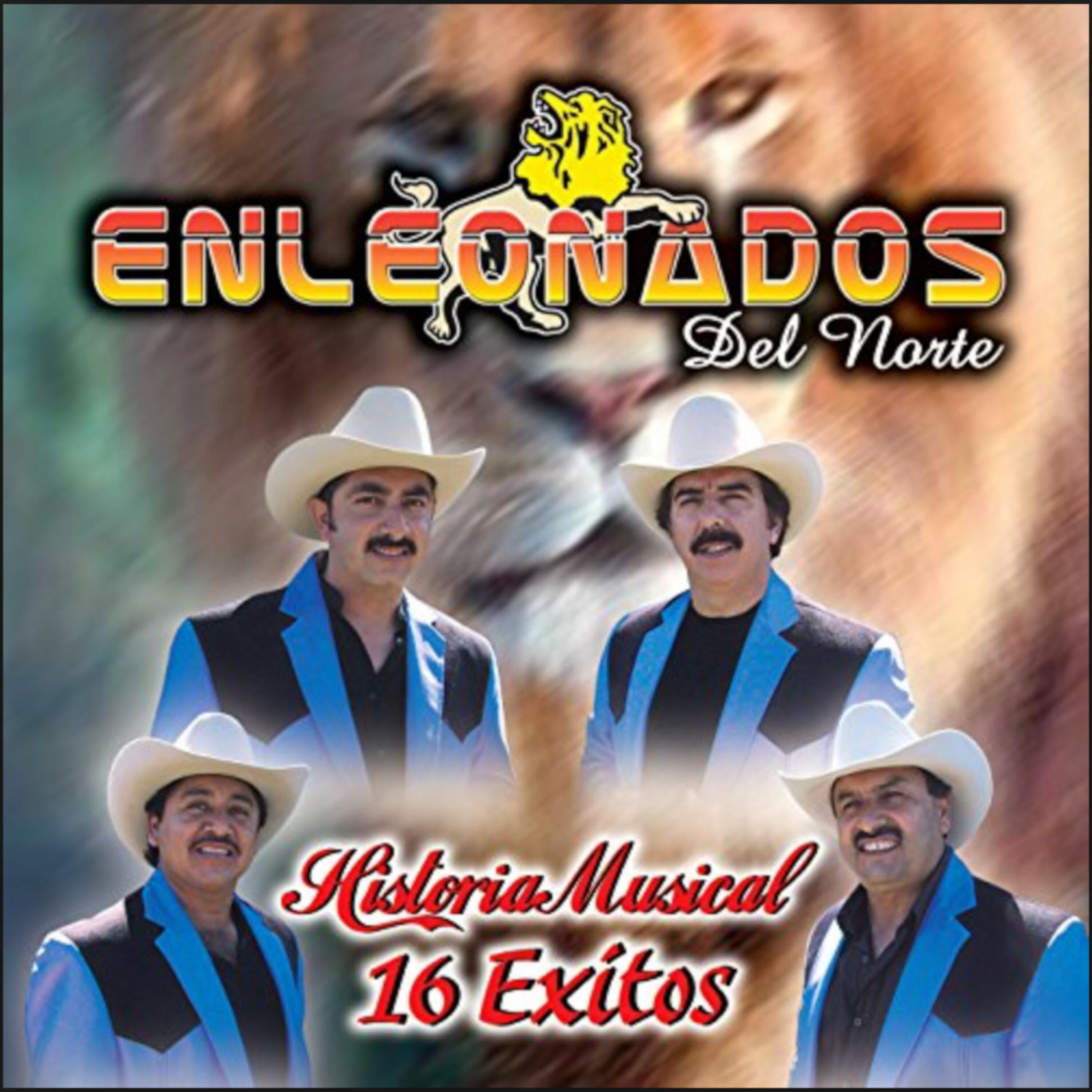 Historia Musical 16 Exitos