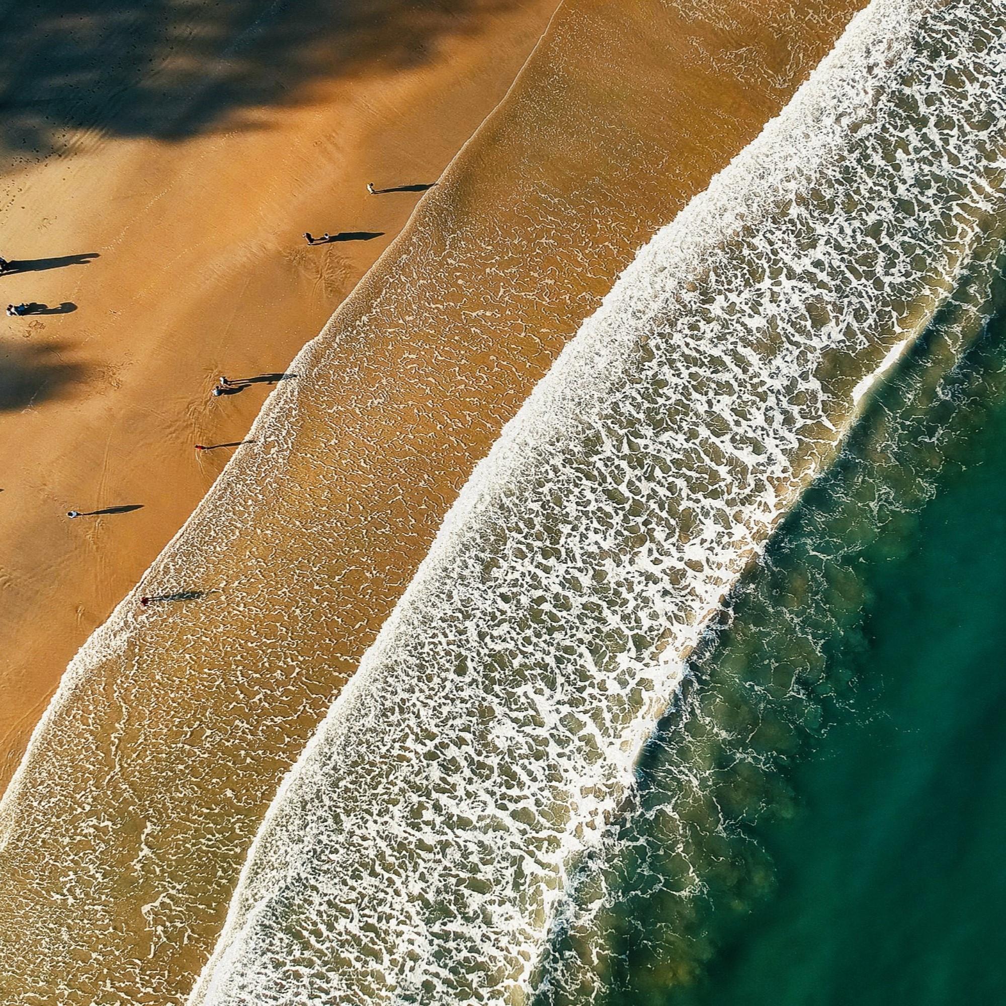 Mu sica De Sue o De Isla Dune: 14 Sonidos De Bucle De Lluvia