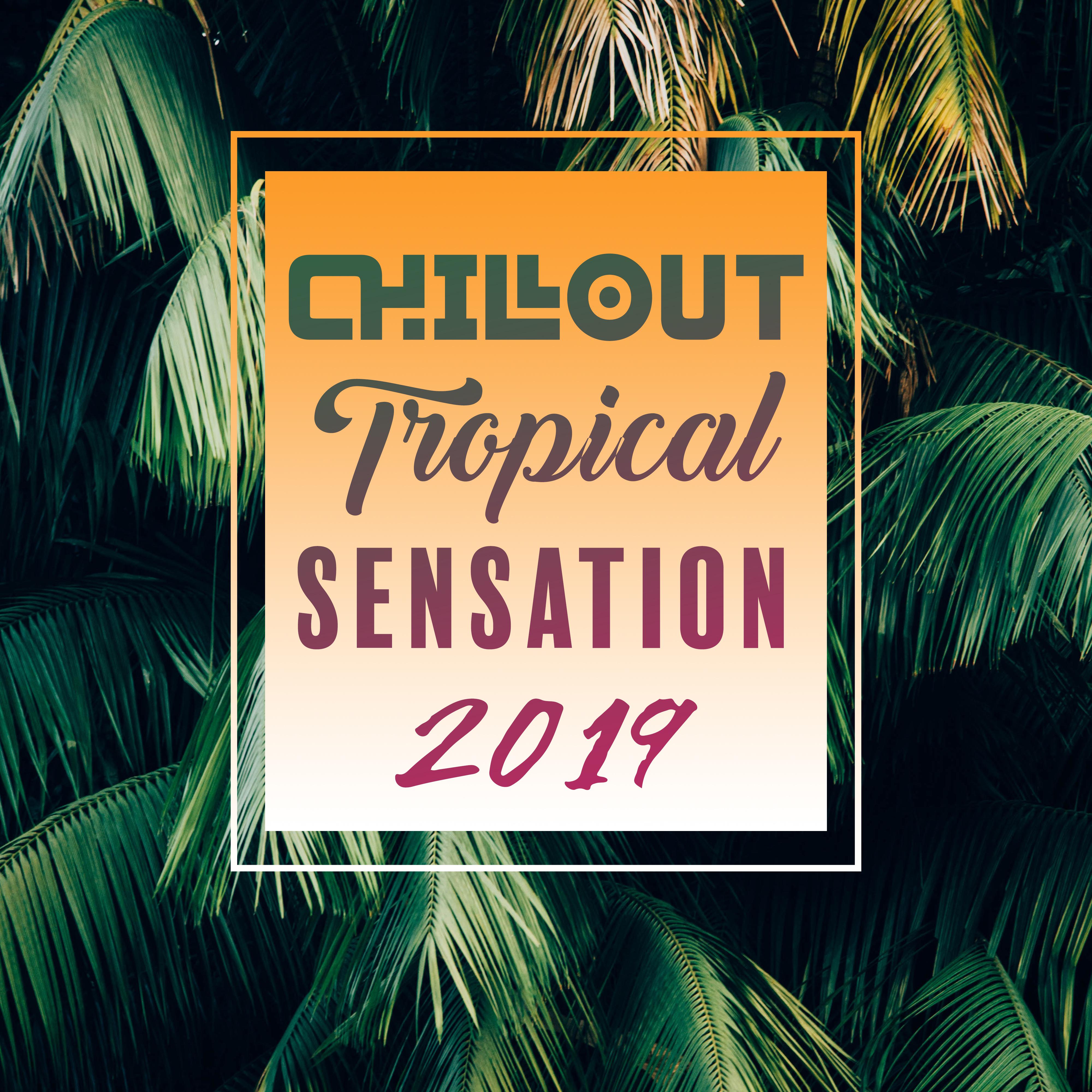 Chillout Tropical Sensation 2019  Selection of Most Relaxing Top Chill Out Music, Vacation Beats, Beach Time Under The Palms, Positive Vibes, Summer Beach Bar