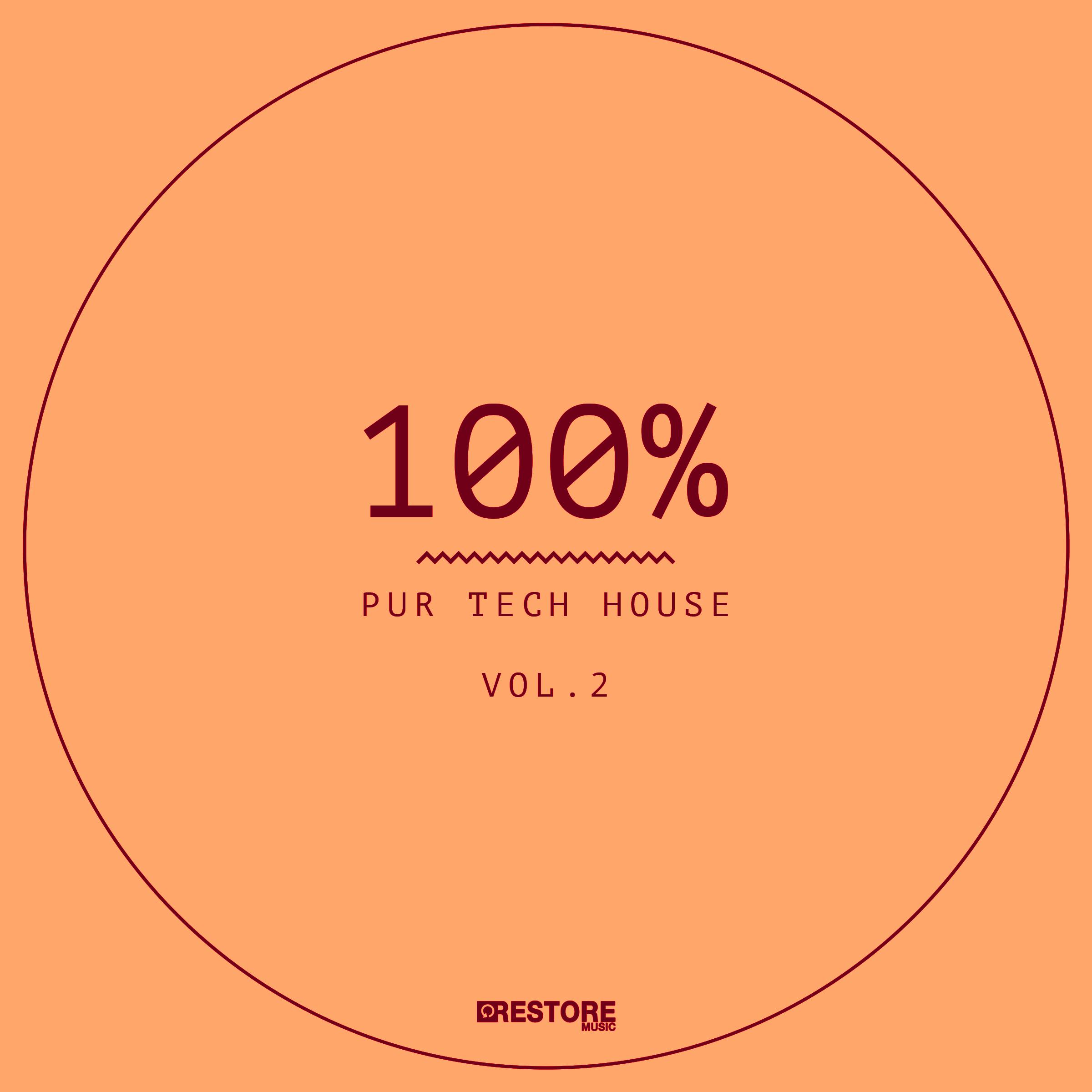 100% Pur Tech House, Vol. 2