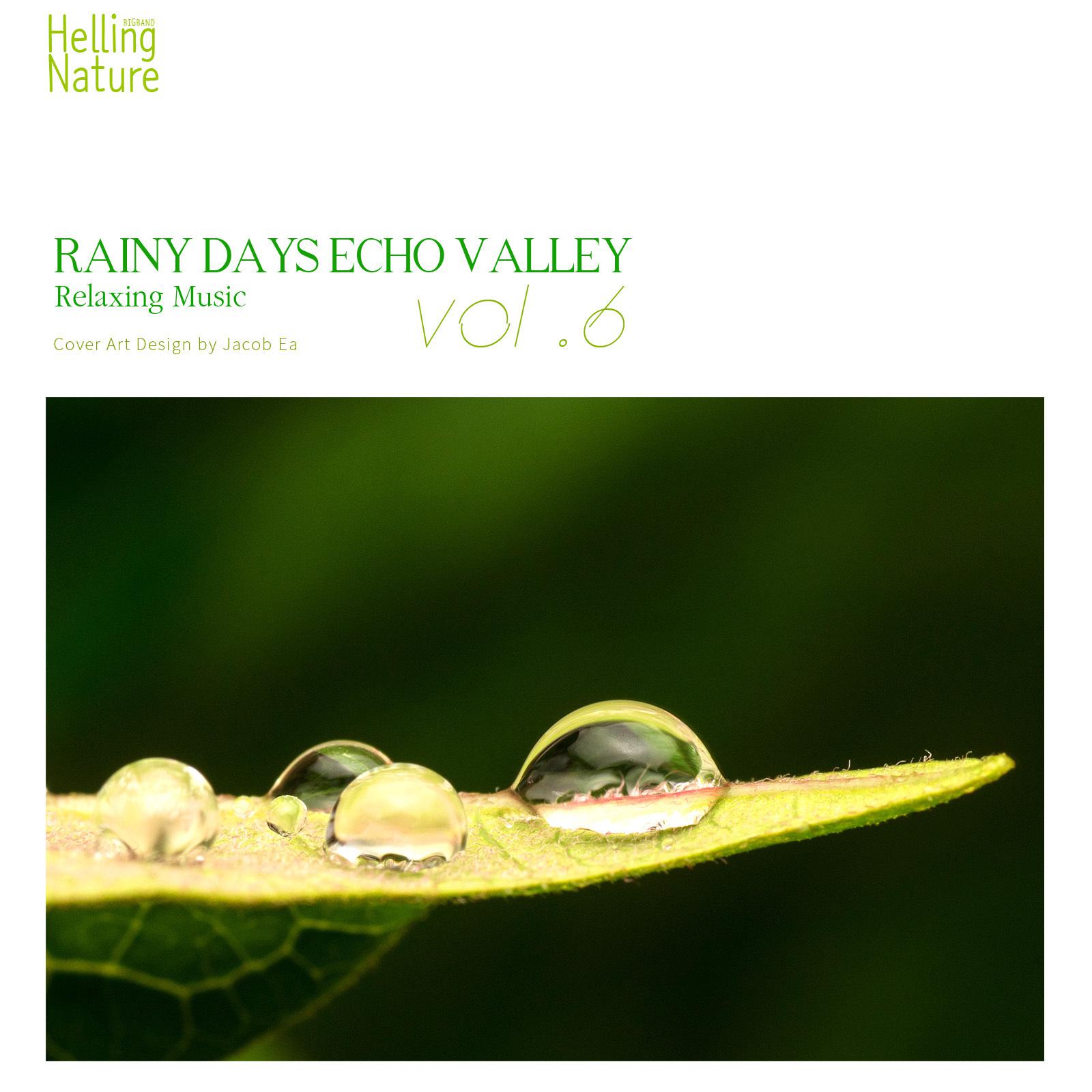 Rainy Days Echo Valley, Vol. 6