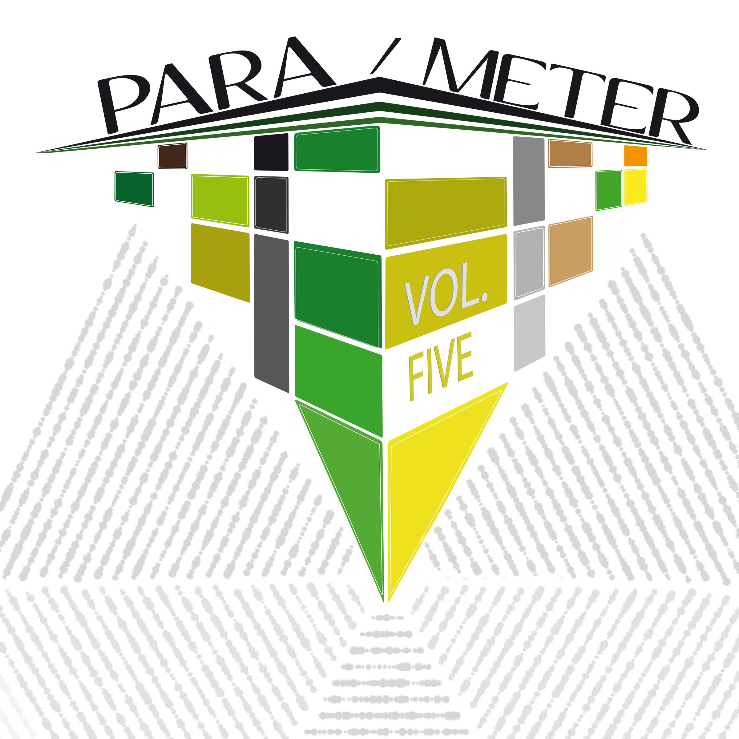 Para / Meter, Vol. 4