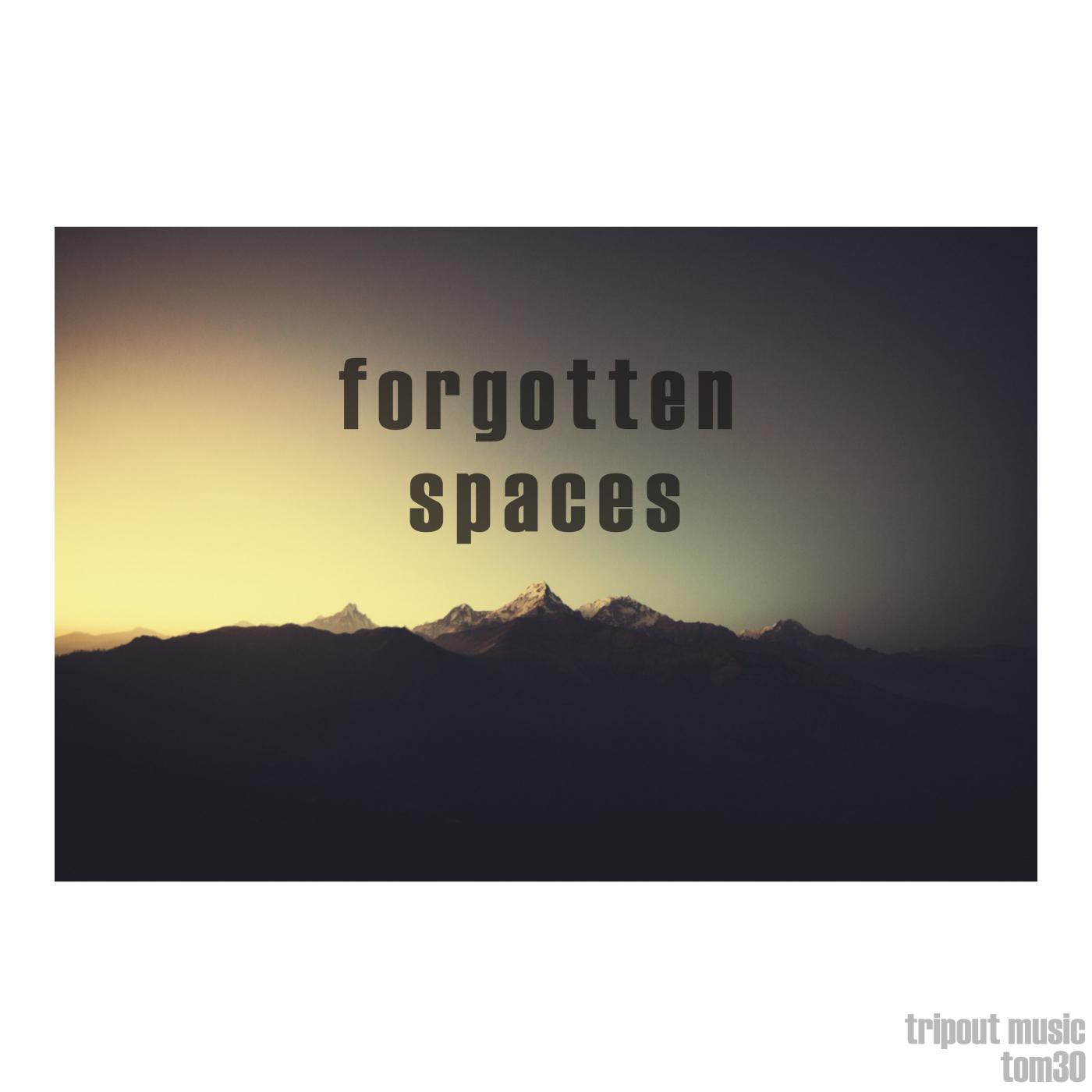 Forgotten Spaces