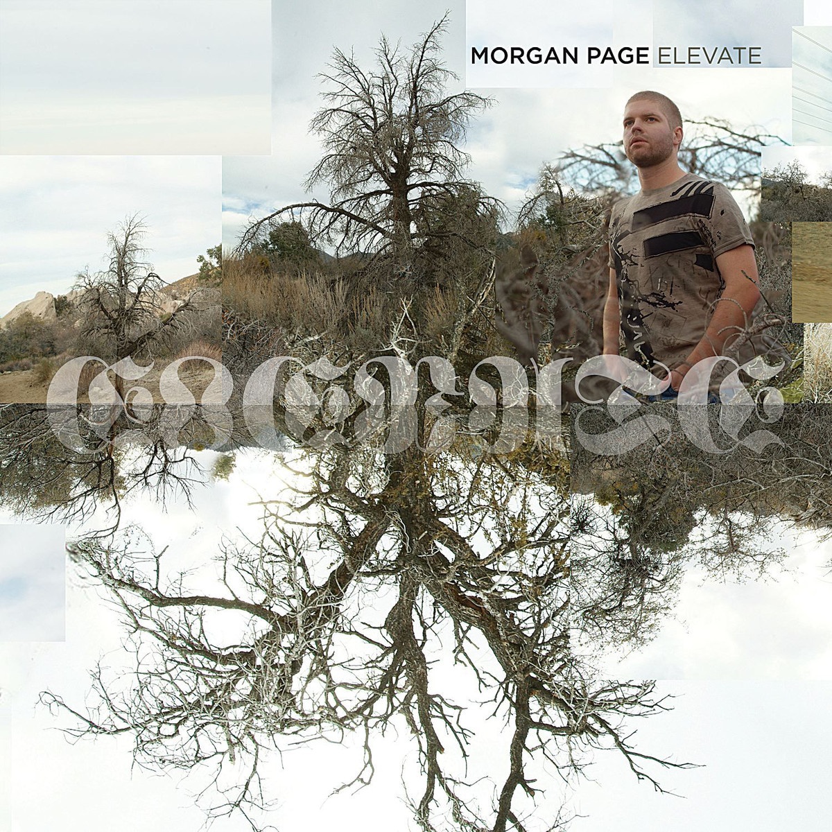Angelicus (Morgan Page Remix) (Edit)