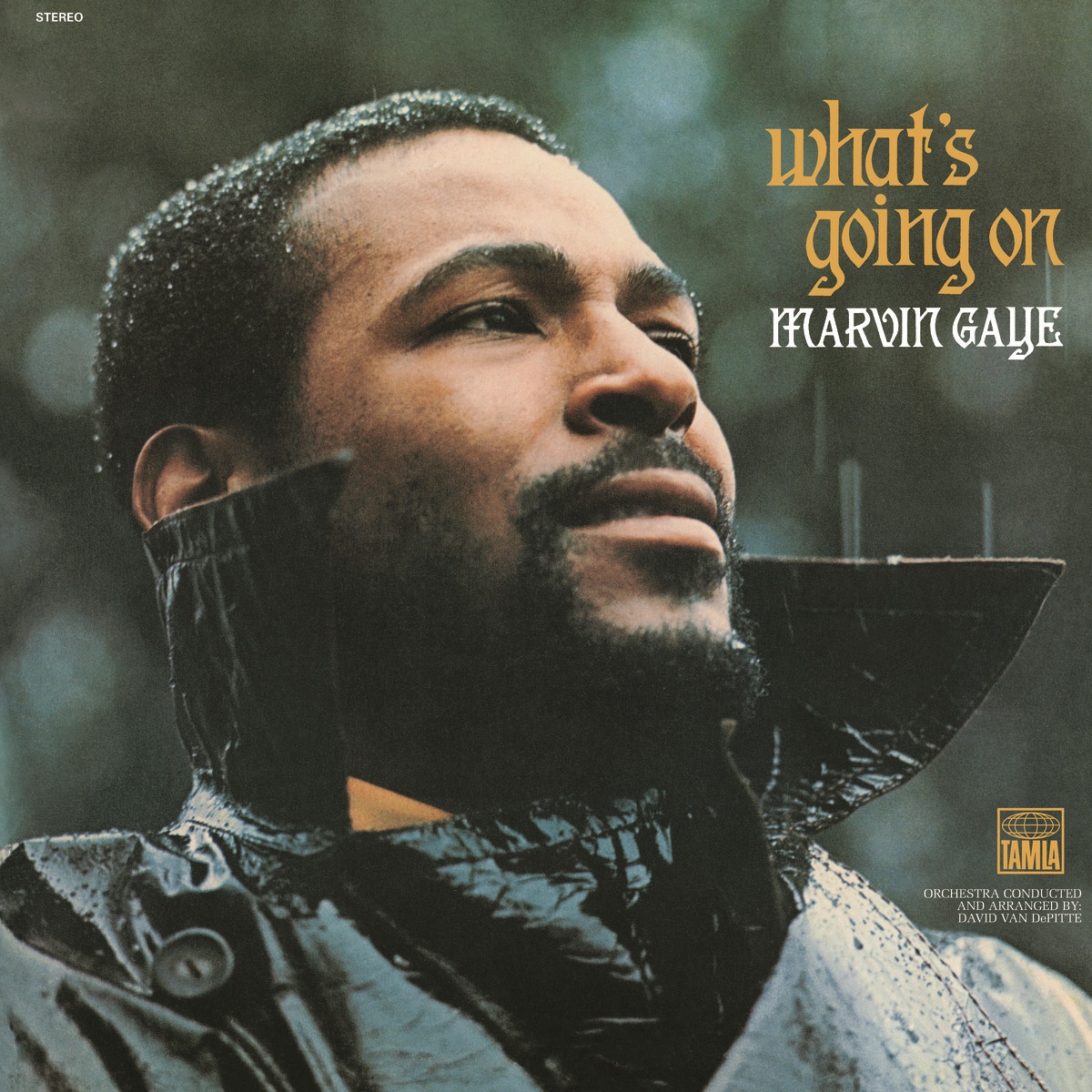 What's Going On - Single Version (Mono)