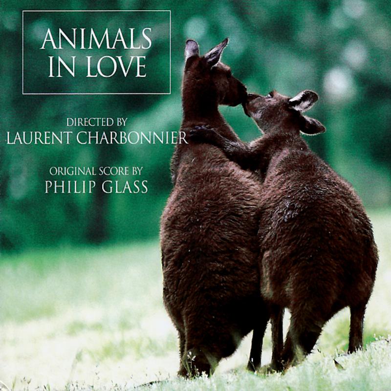 Animals In Love