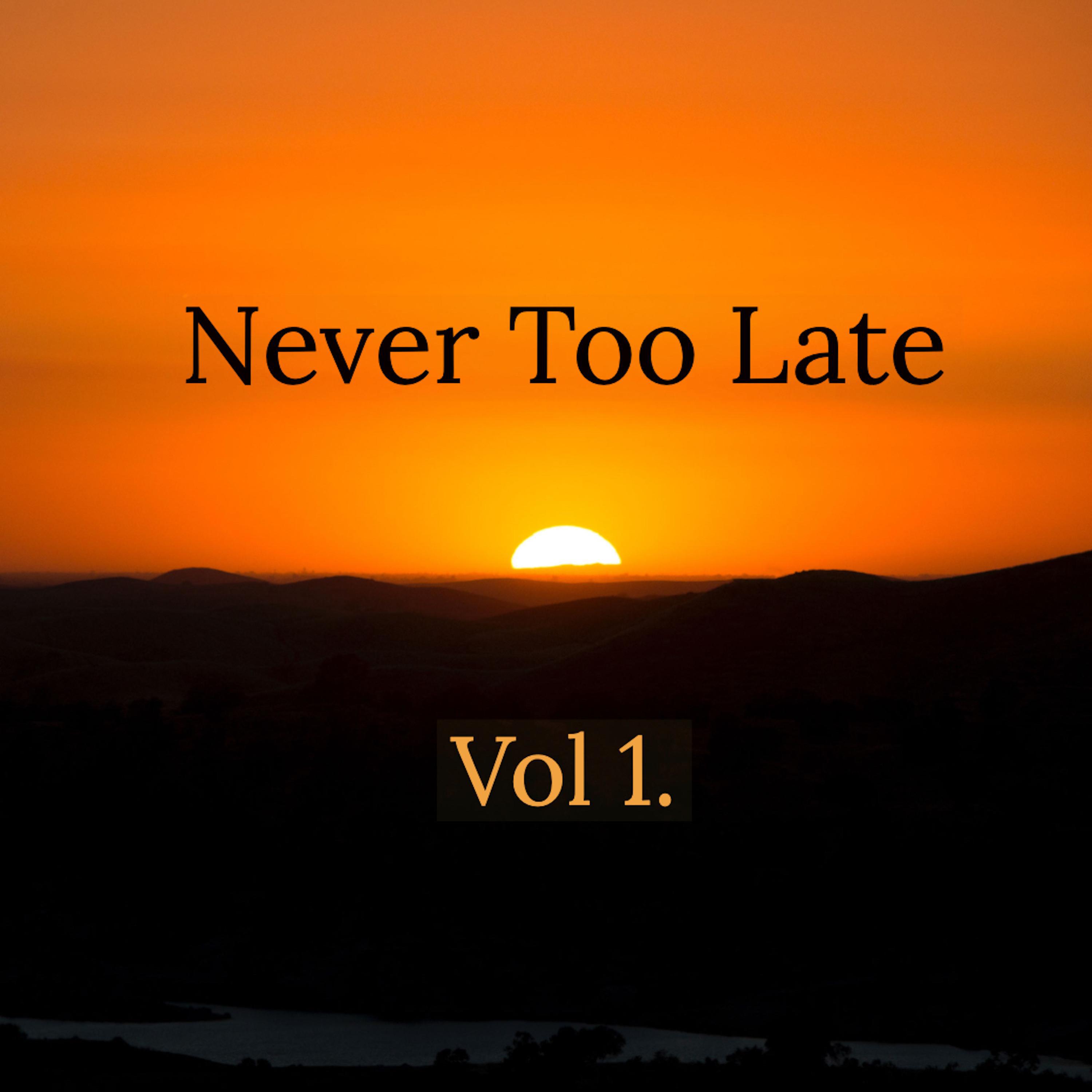 Never Too Late