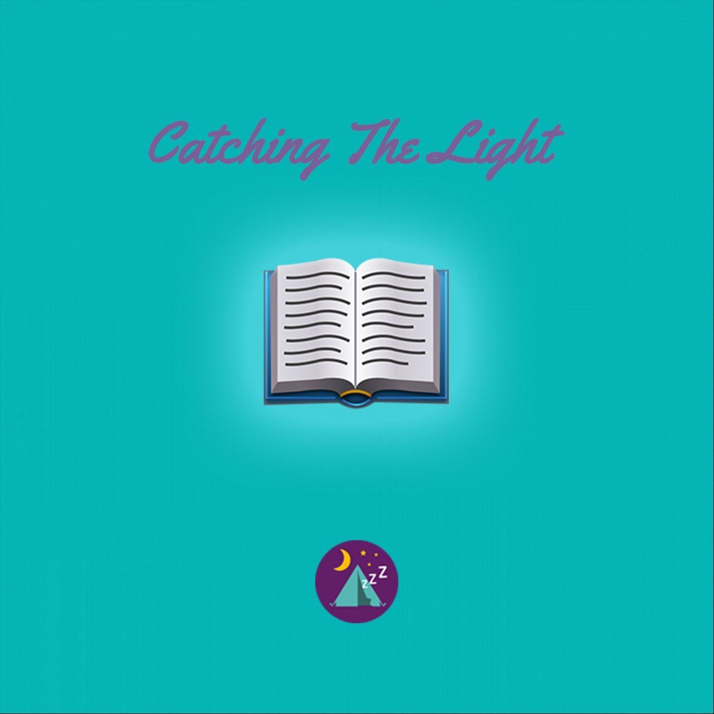 Summertime Rain Shower