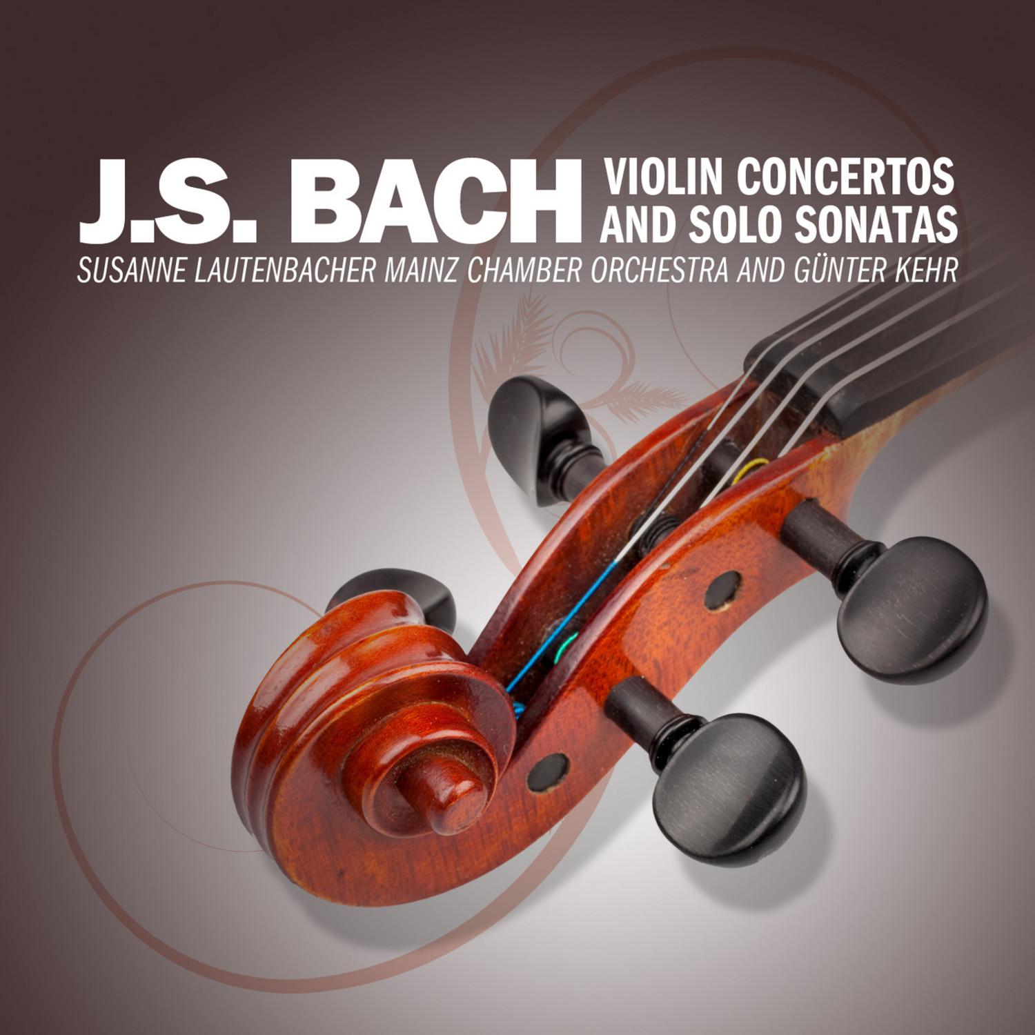 Concerto No. 1 in A Minor for Violin and Strings, BWV 1041: II. Andante