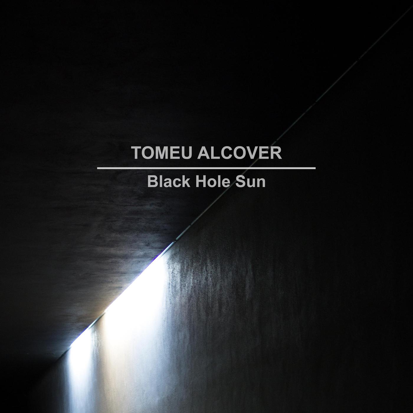 Black Hole Sun