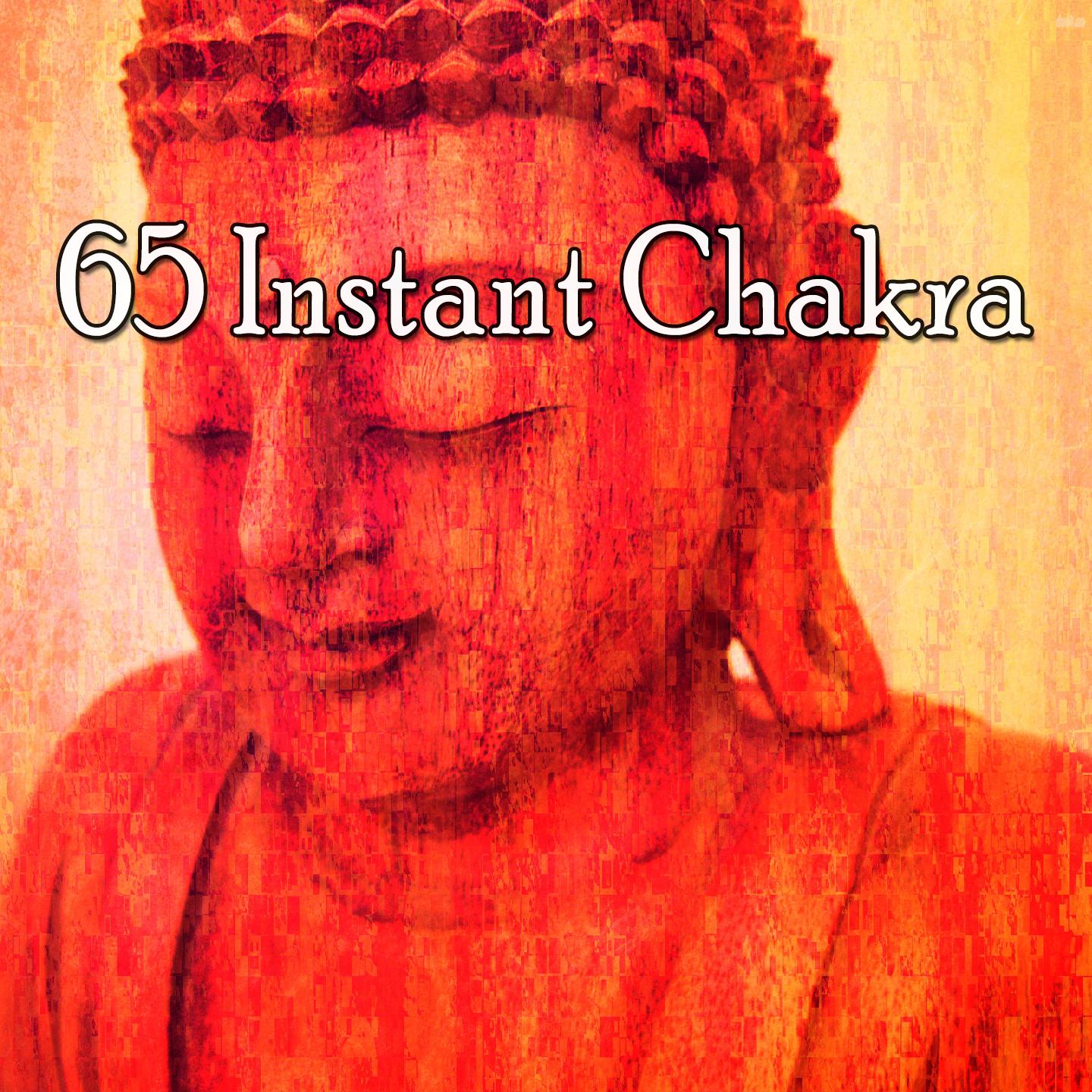 65 Instant Chakra