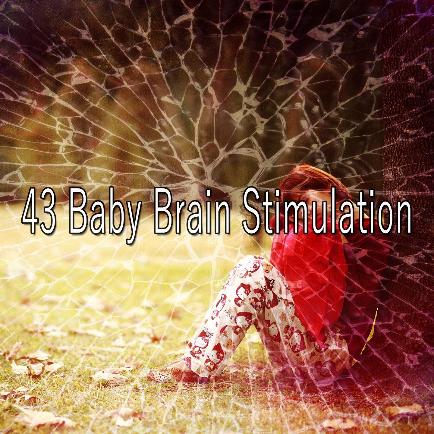 43 Baby Brain Stimulation