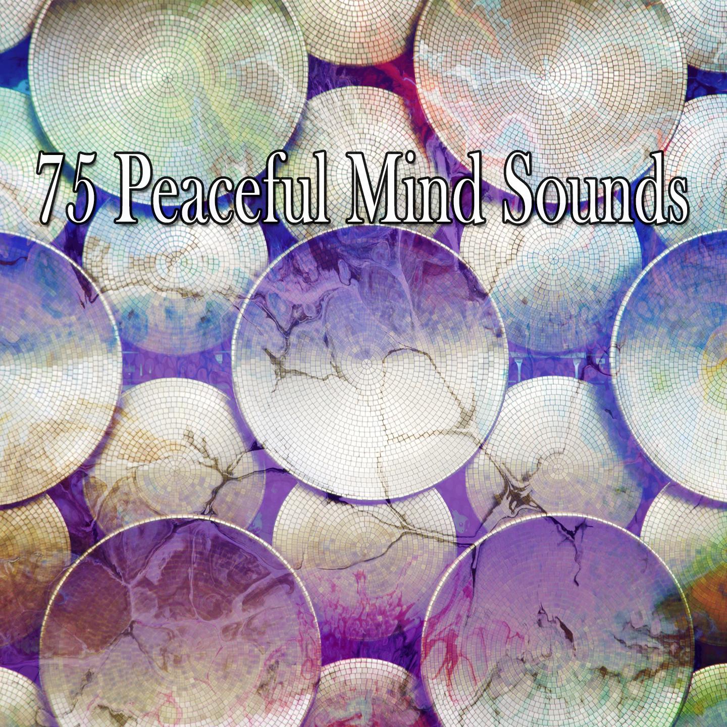 75 Peaceful Mind Sounds