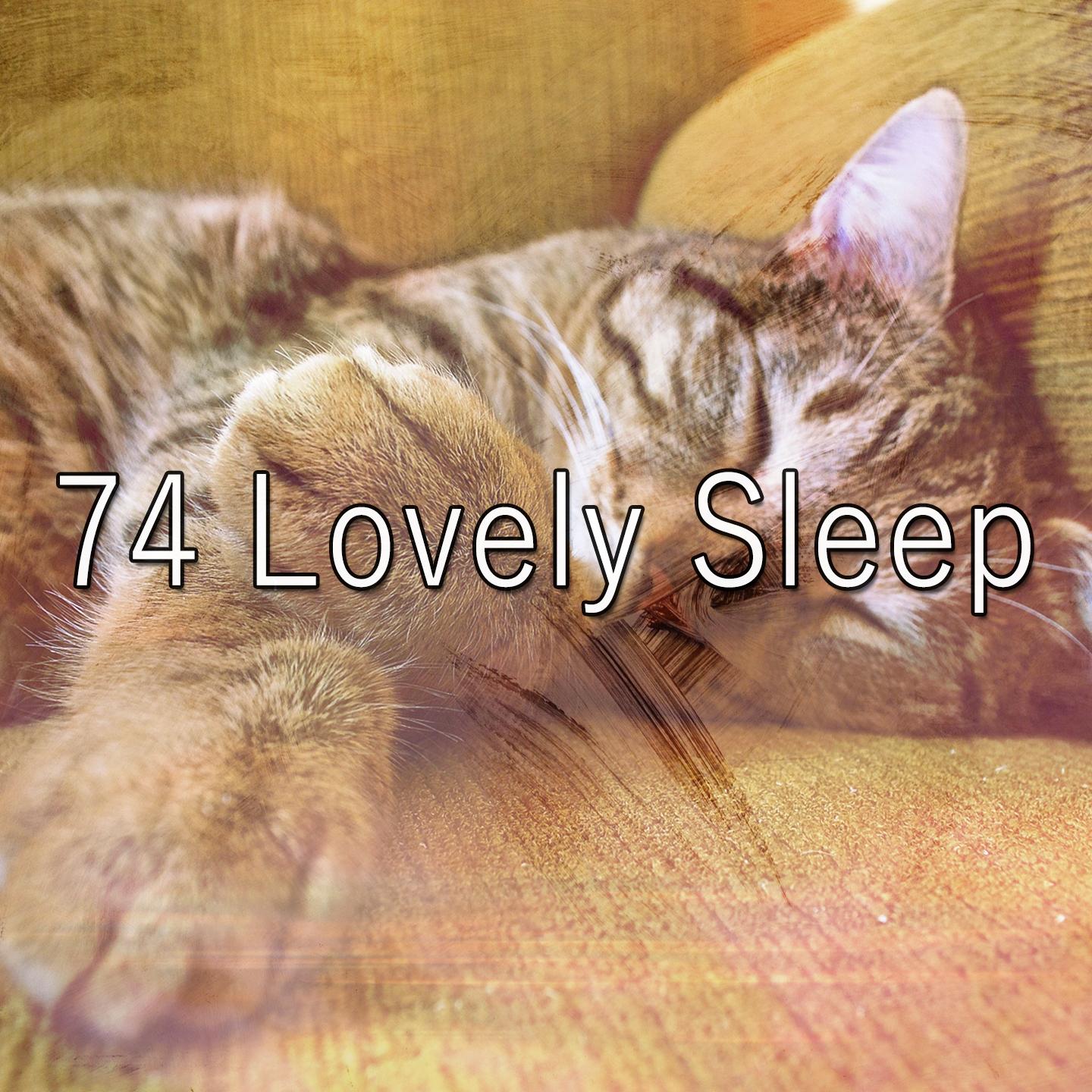 74 Lovely Sleep