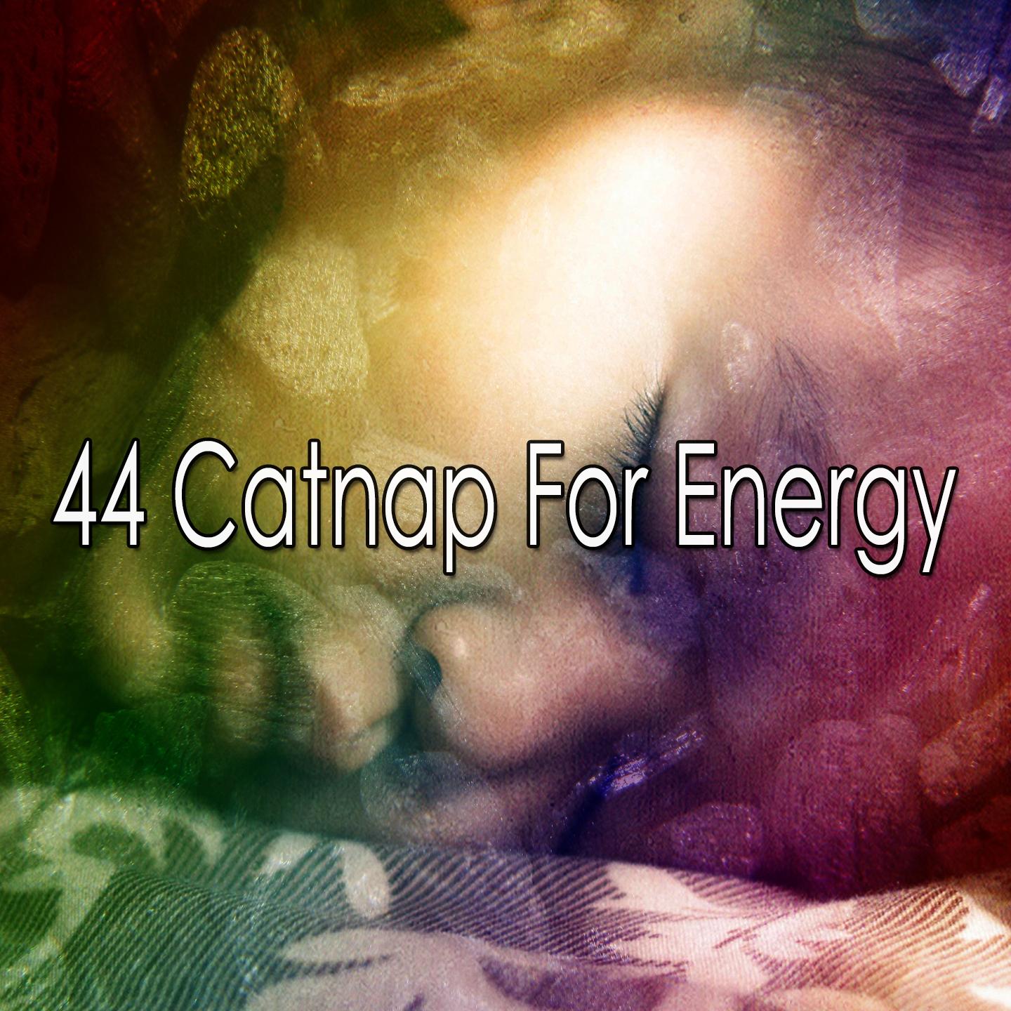 44 Catnap for Energy