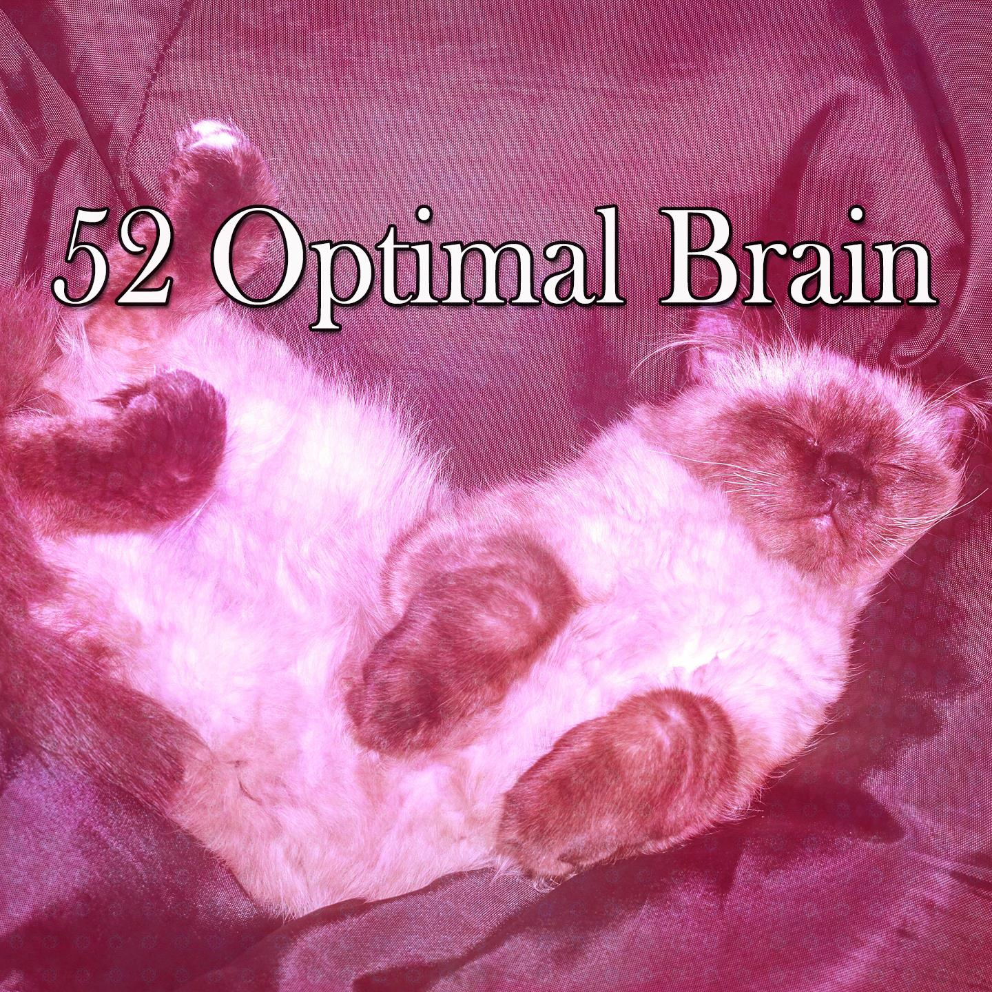 52 Optimal Brain