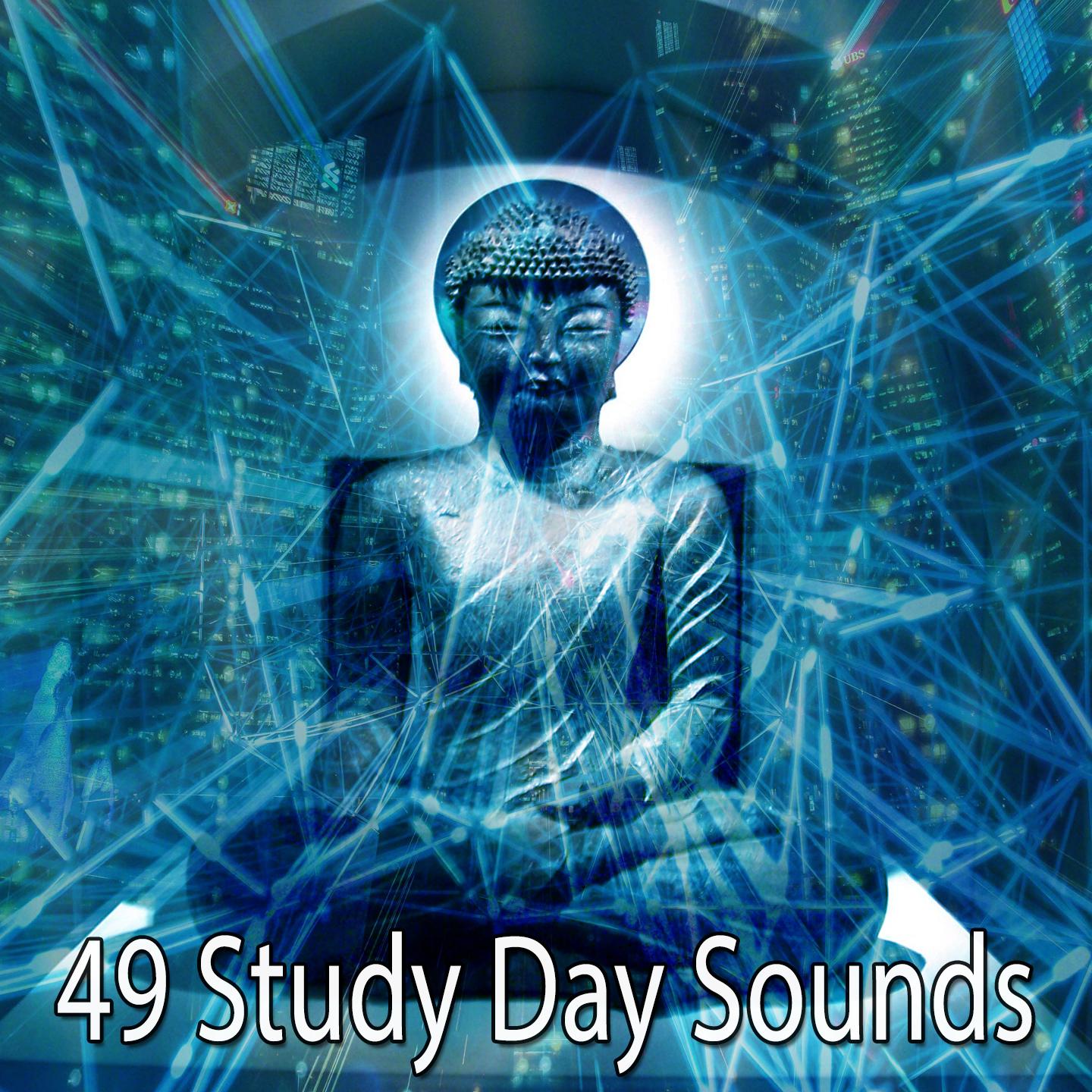49 Study Day Sounds