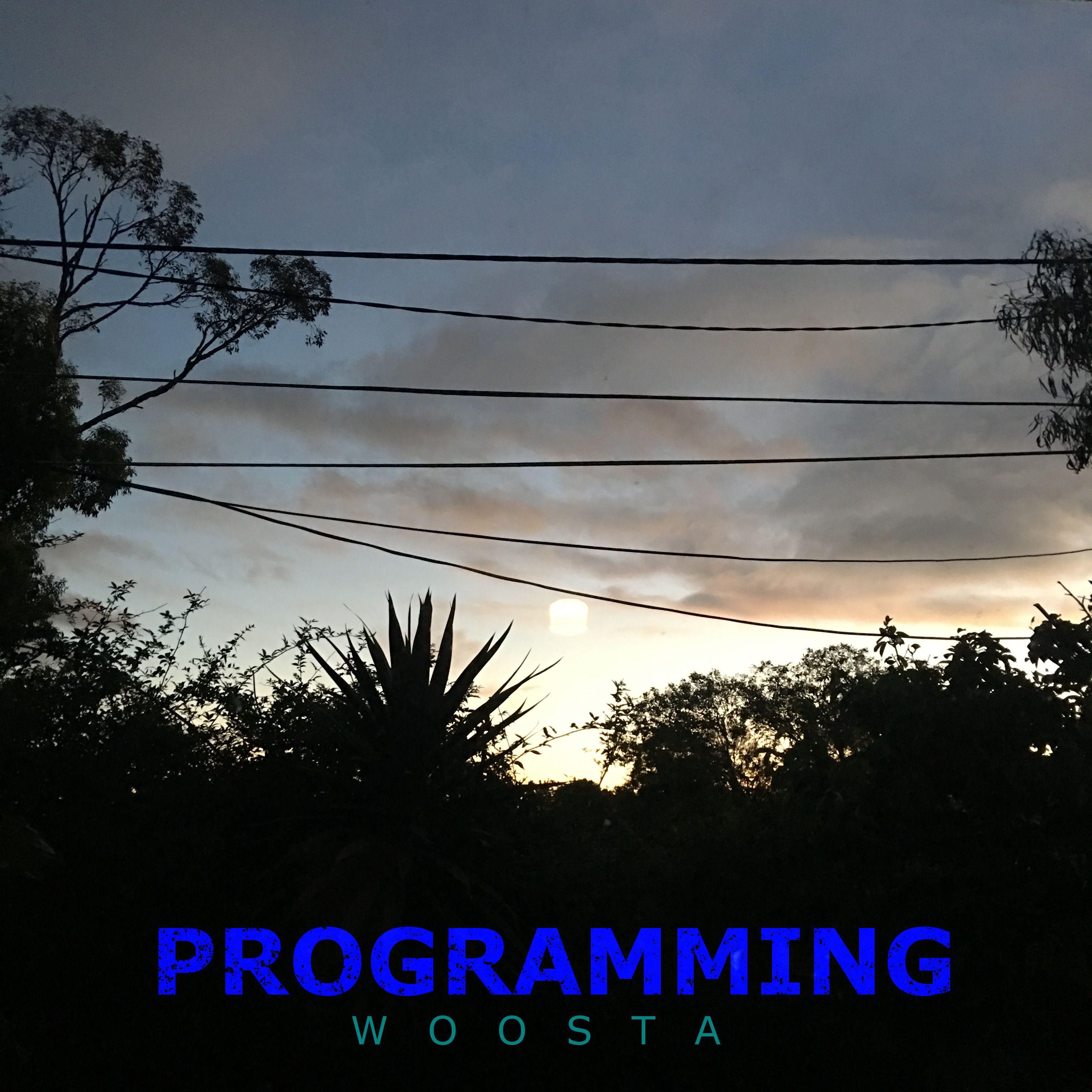 Programming