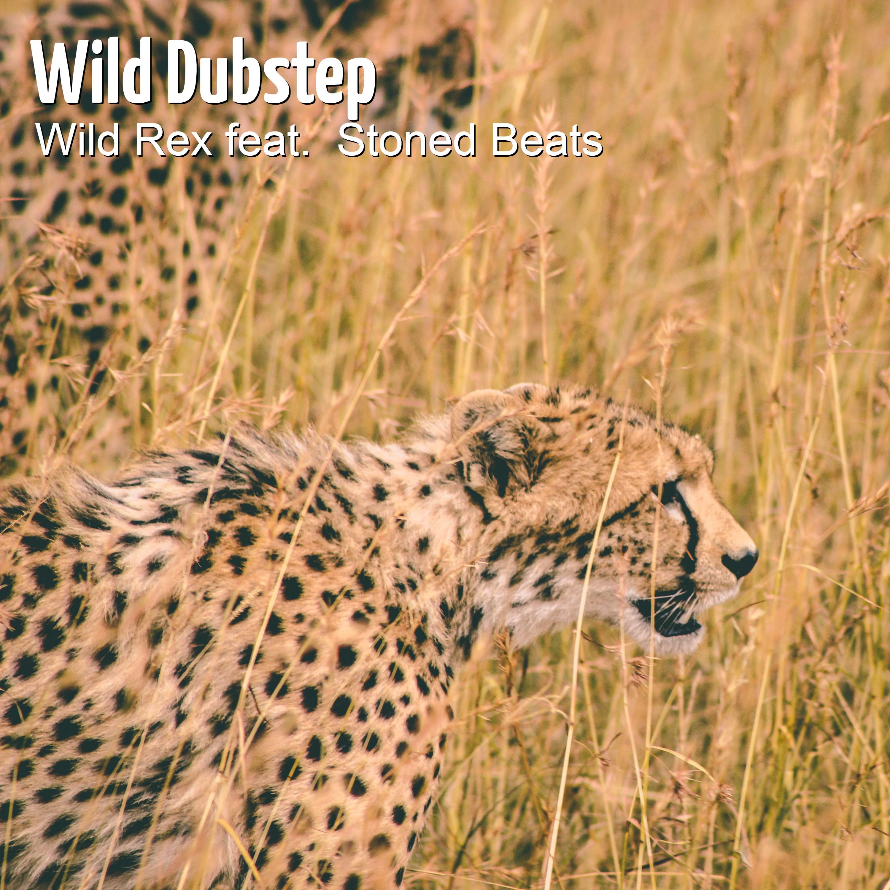 Wild Dubstep