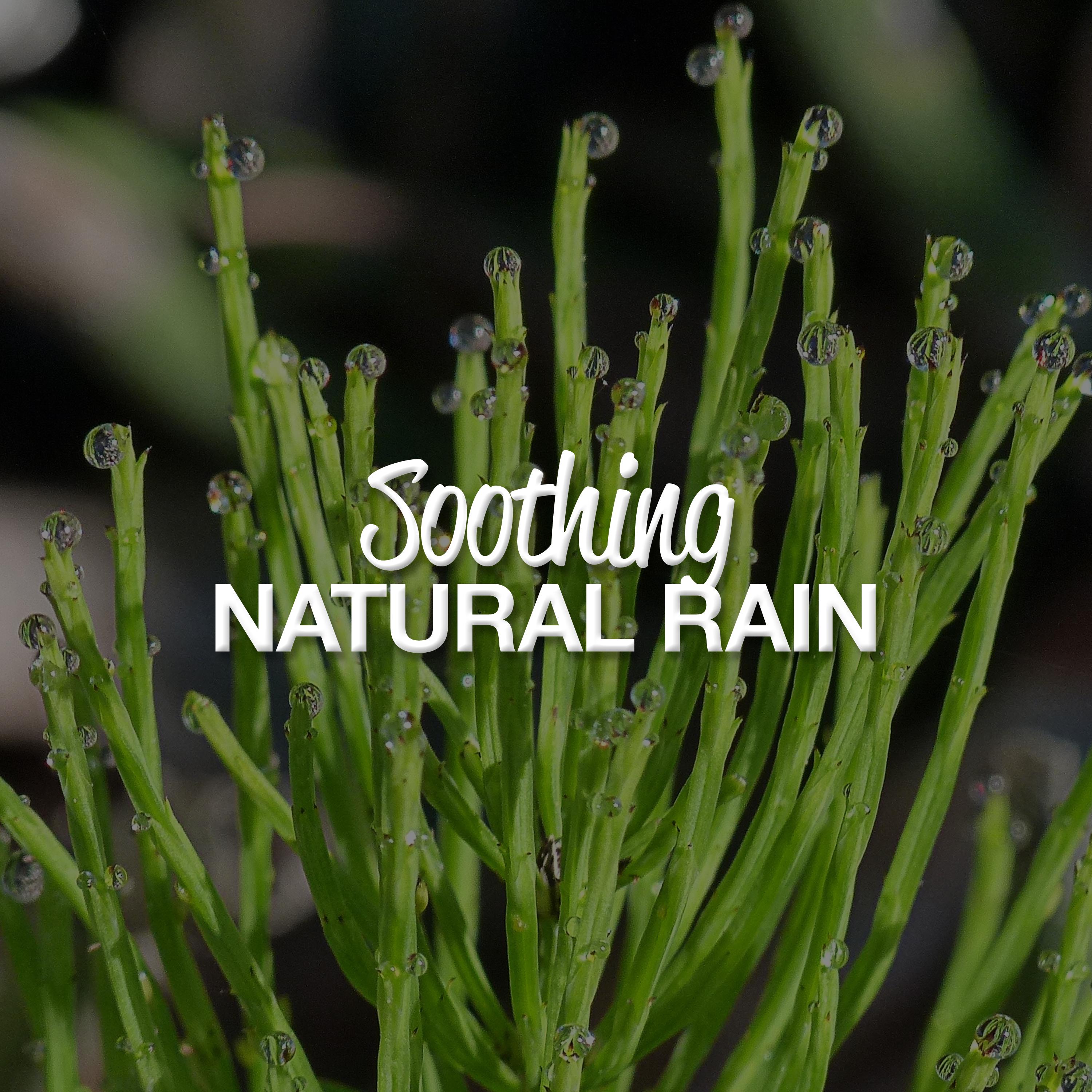 Soothing Natural Rain