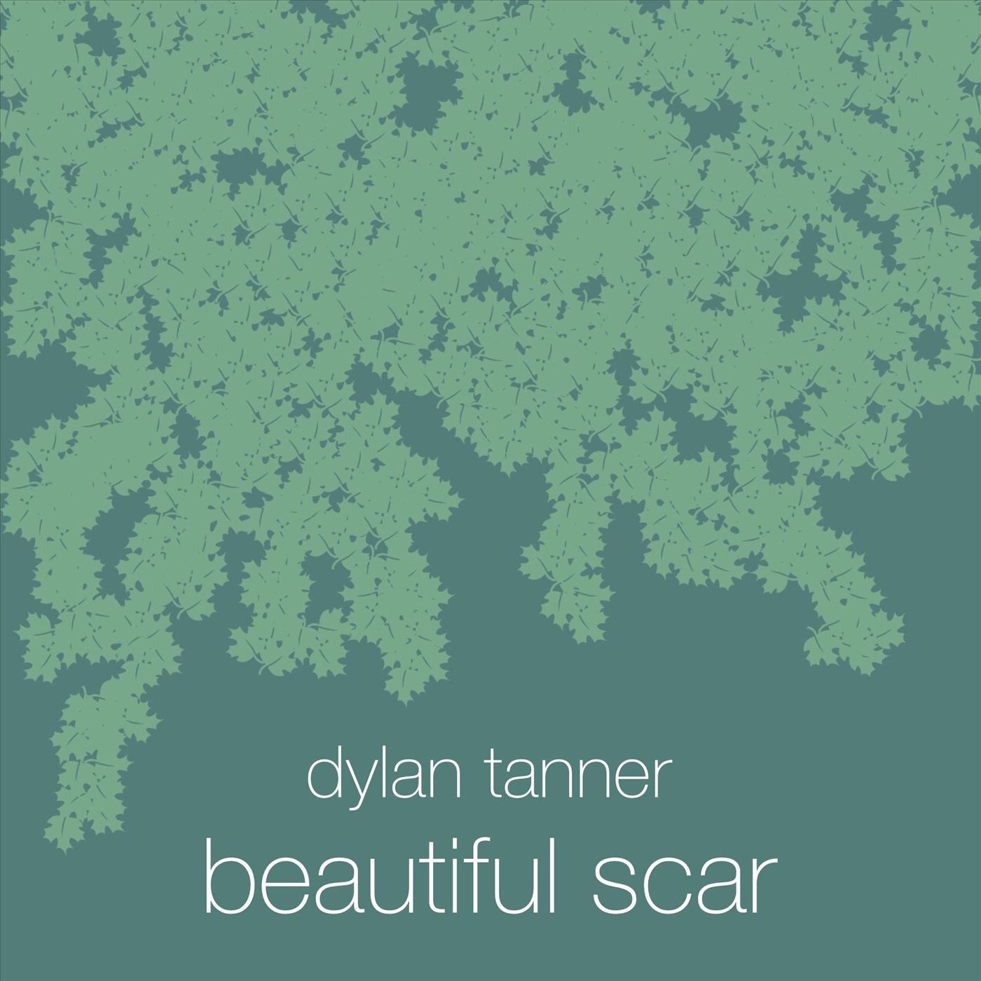 Beautiful Scar