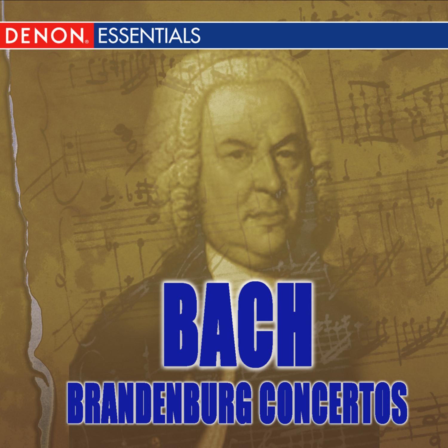 Brandenburg Concerto No. 1 in F Major BWV 1046: II. Adagio