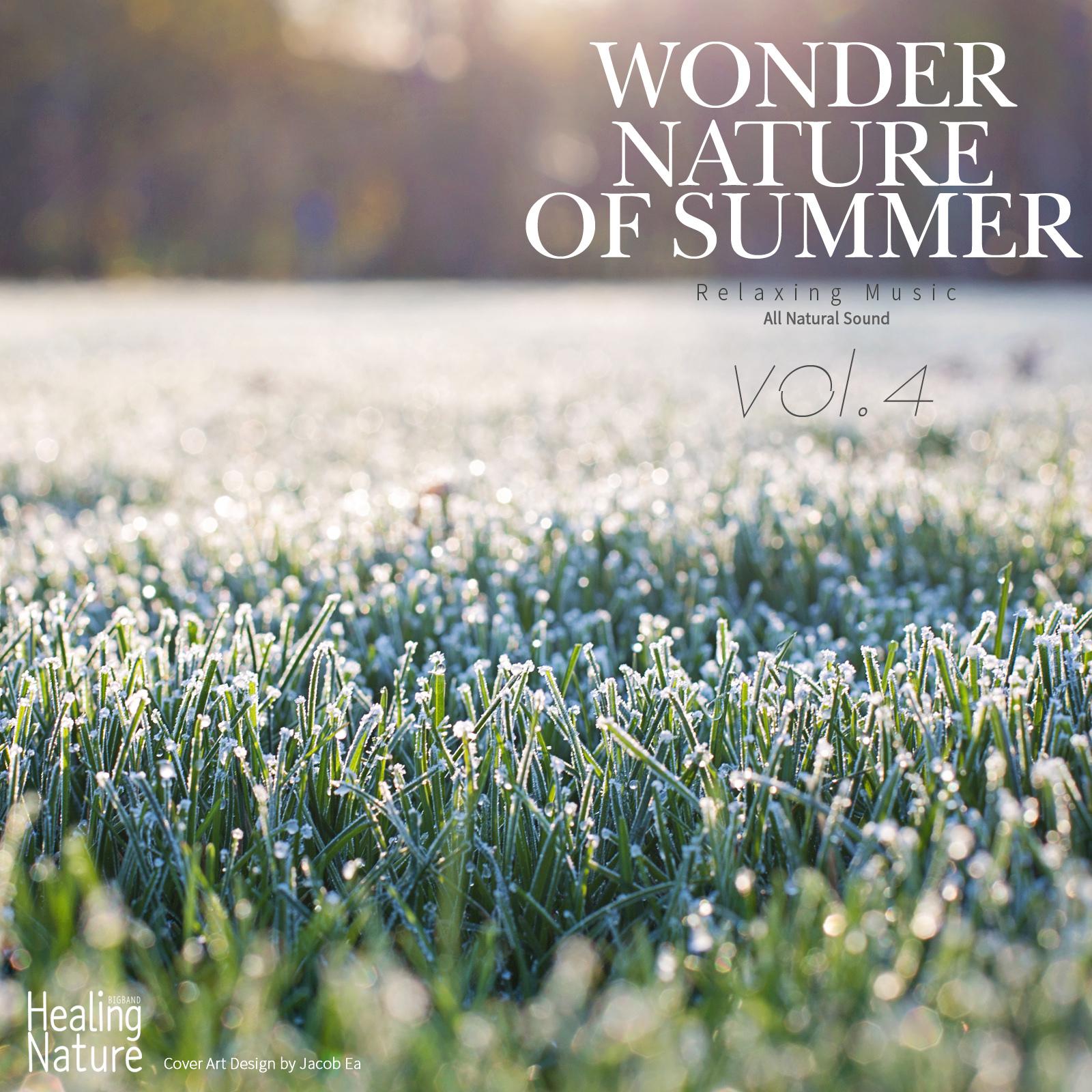 Wonder Nature of Summer, Vol. 4