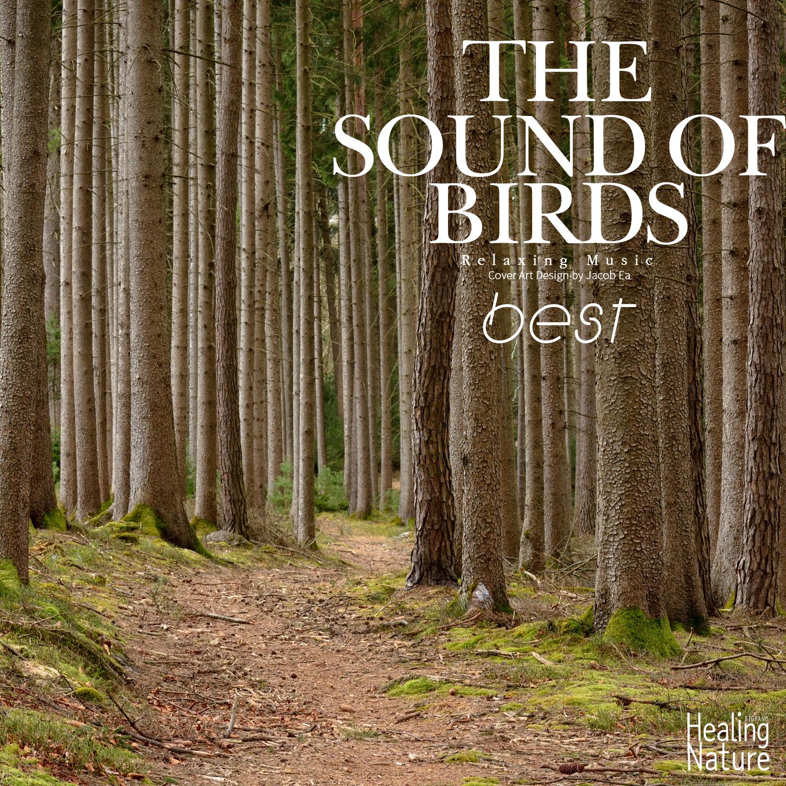 The Sounds of Birds Best