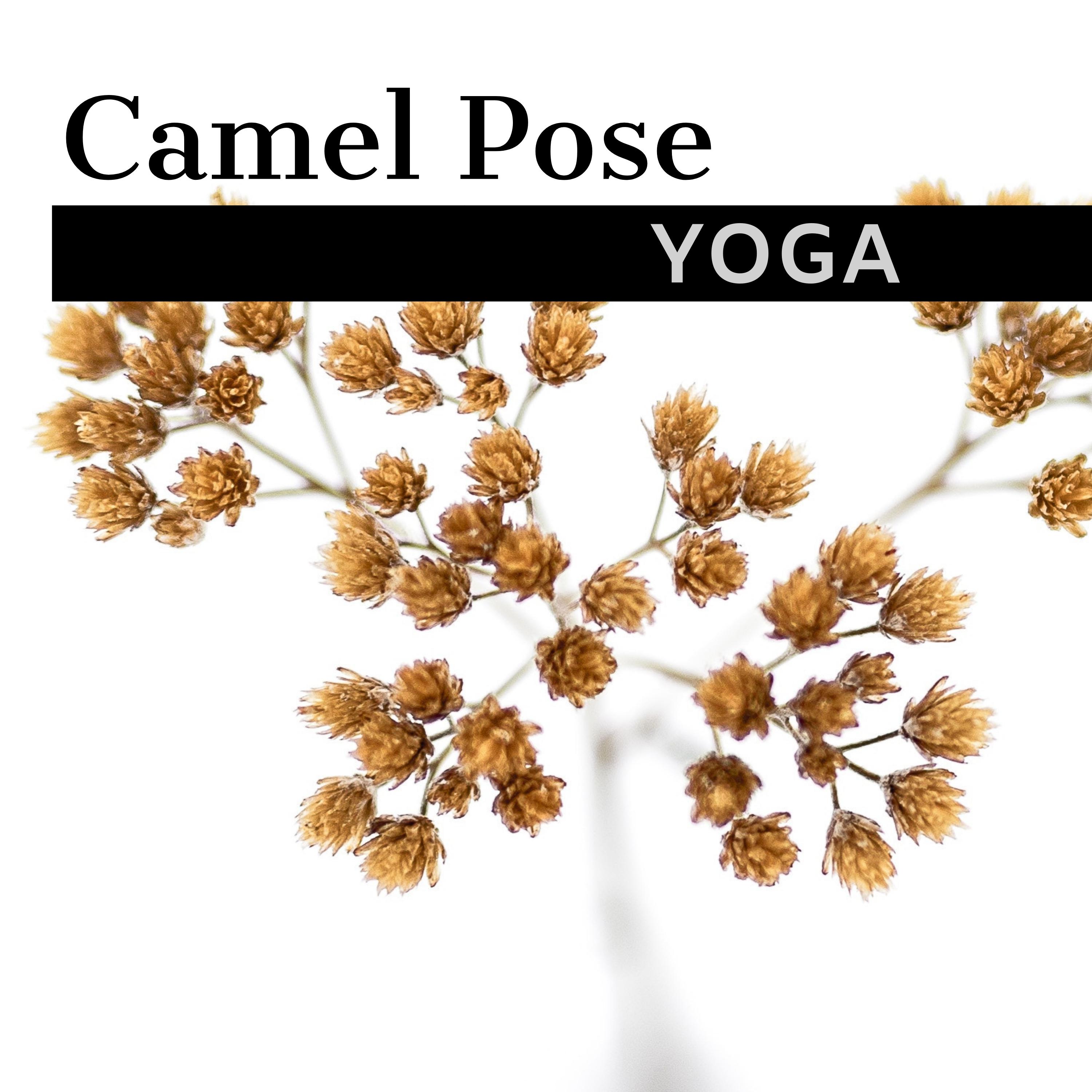 Camel Pose Yoga