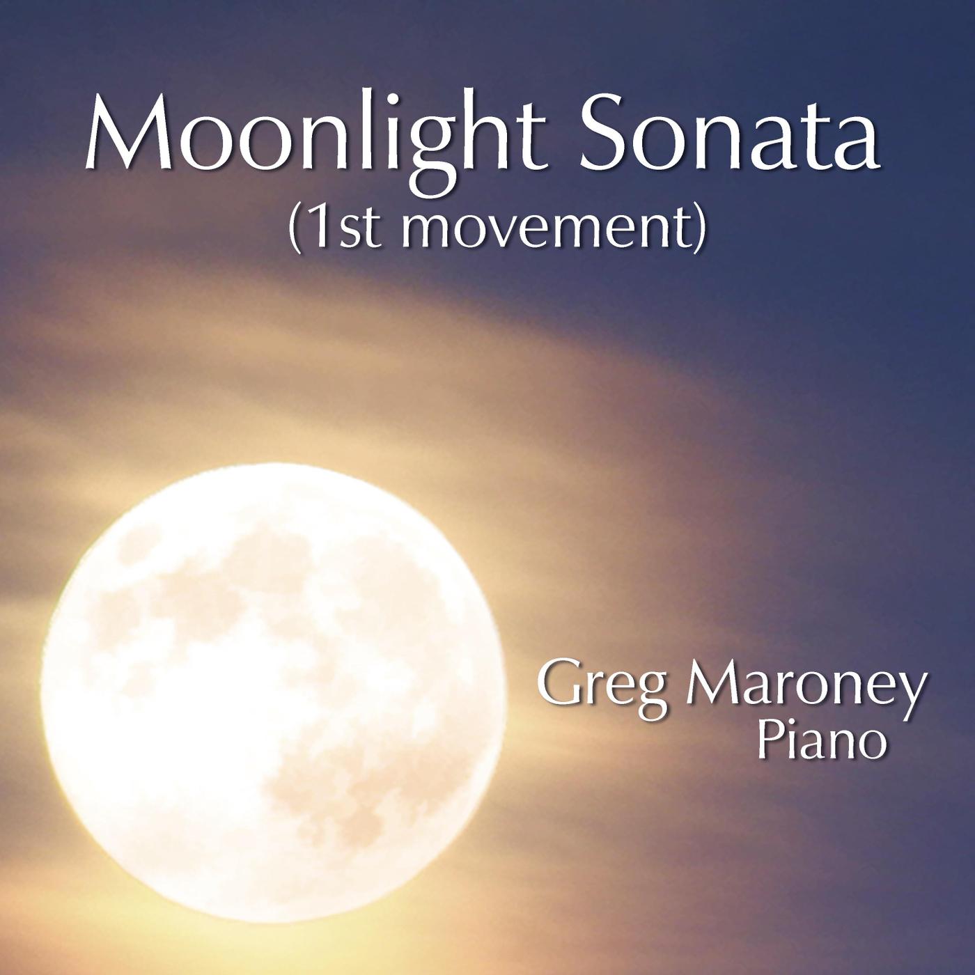 Piano Sonata No. 14 in CSharp Minor, Op. 27 No. 2 " Moonlight": I. Adagio sostenuto