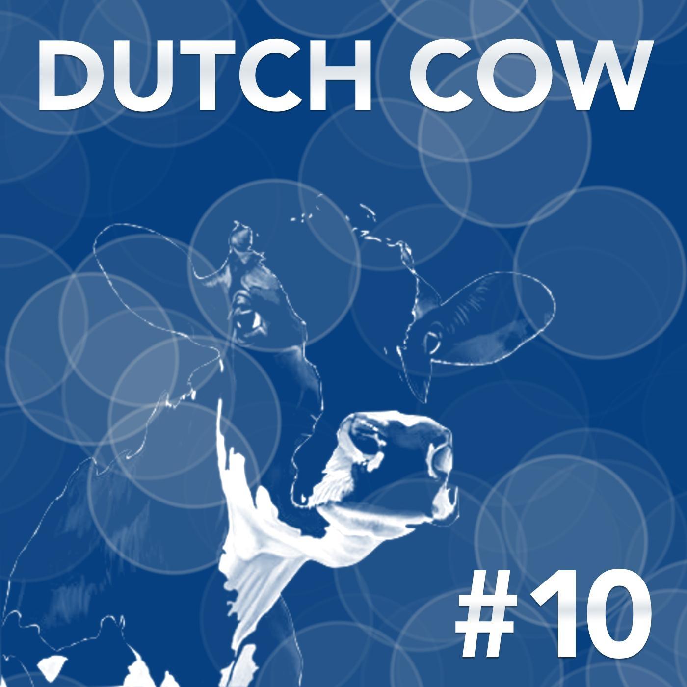 Dutch Cow #10