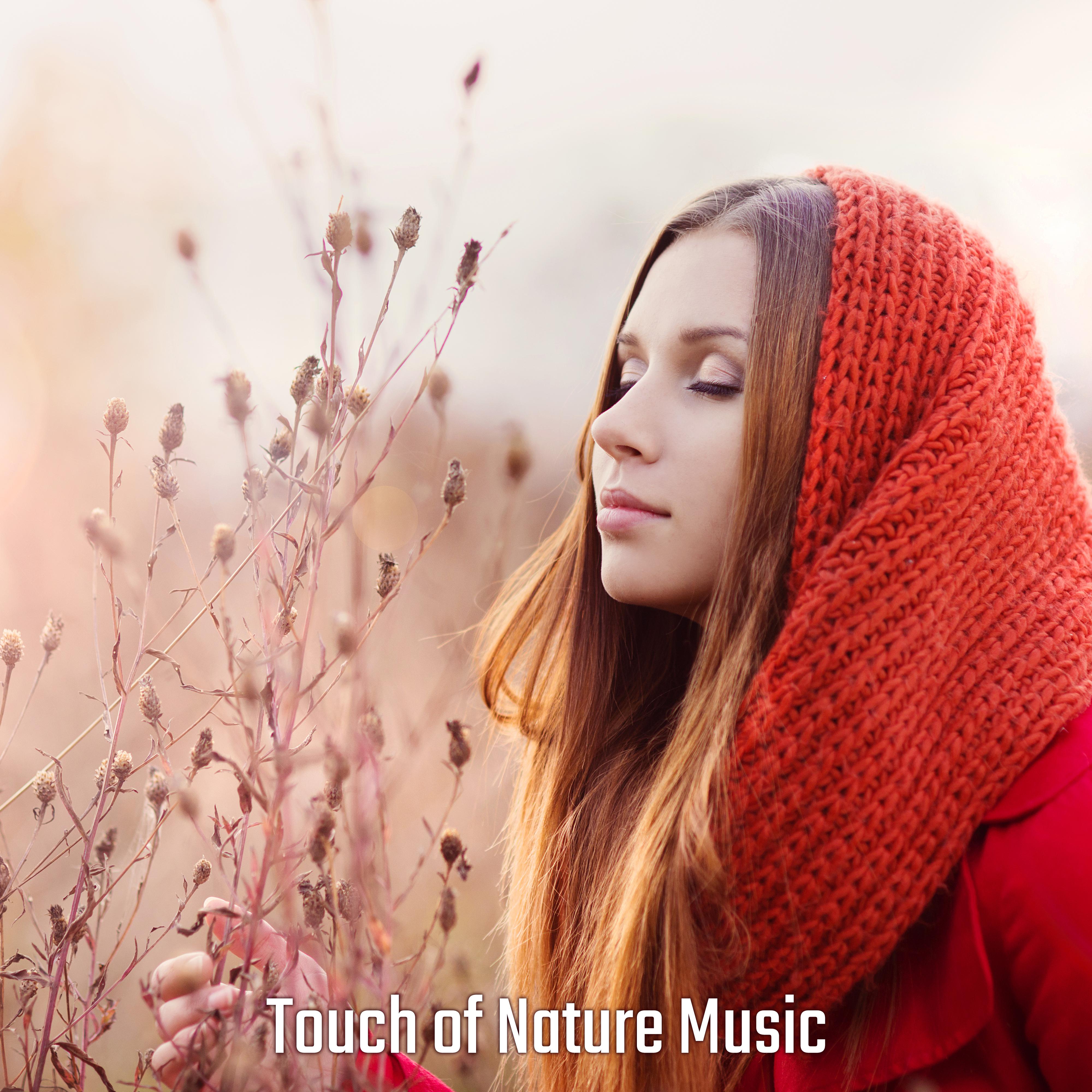 Touch of Nature Music  Soothing Nature Sounds for Relaxation, Sleep, Deep Meditation, Ambient Music, Zen, New Age Relaxing Collection, Stress Relief